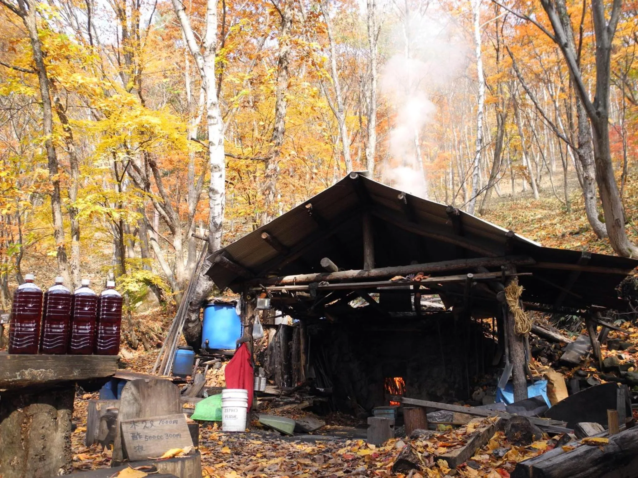 Autumn in Yudanaka Onsen Yamazakiya