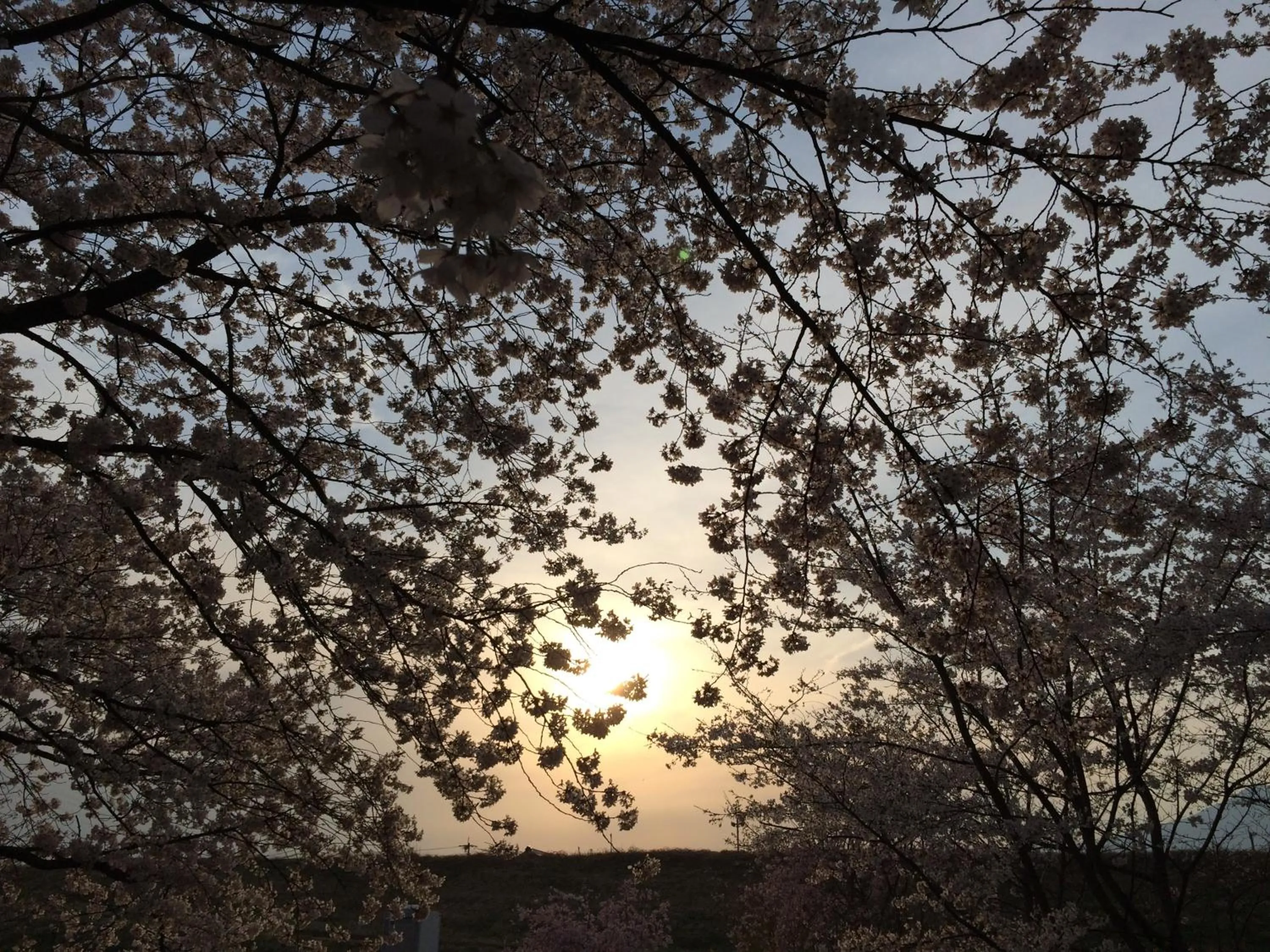 Yudanaka Onsen Yamazakiya