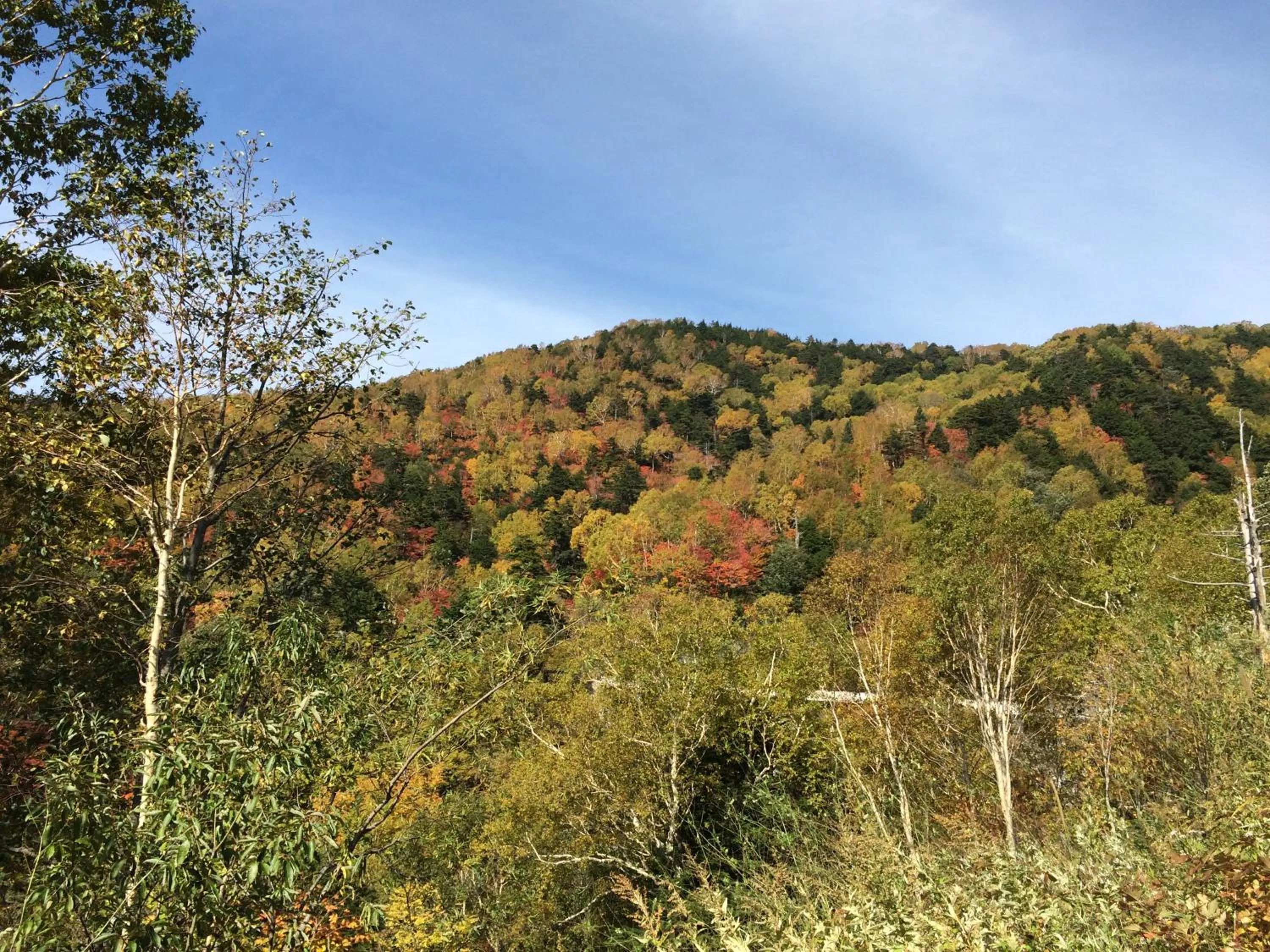 Autumn in Yudanaka Onsen Yamazakiya