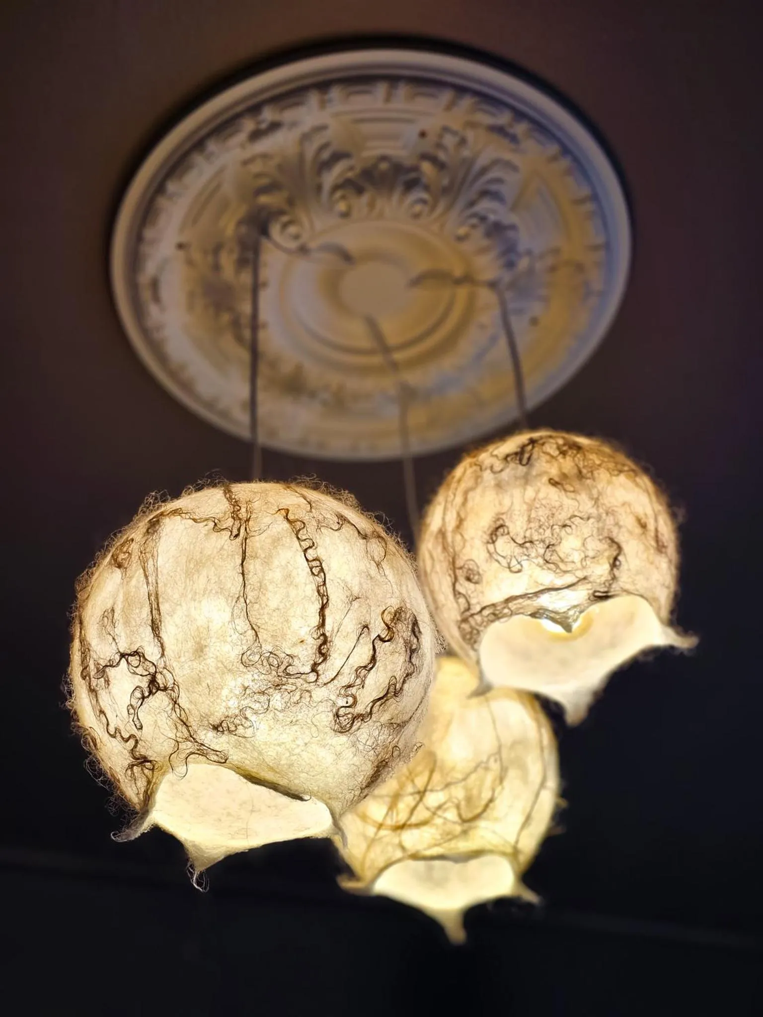 Facade/entrance in Akureyri Hostel