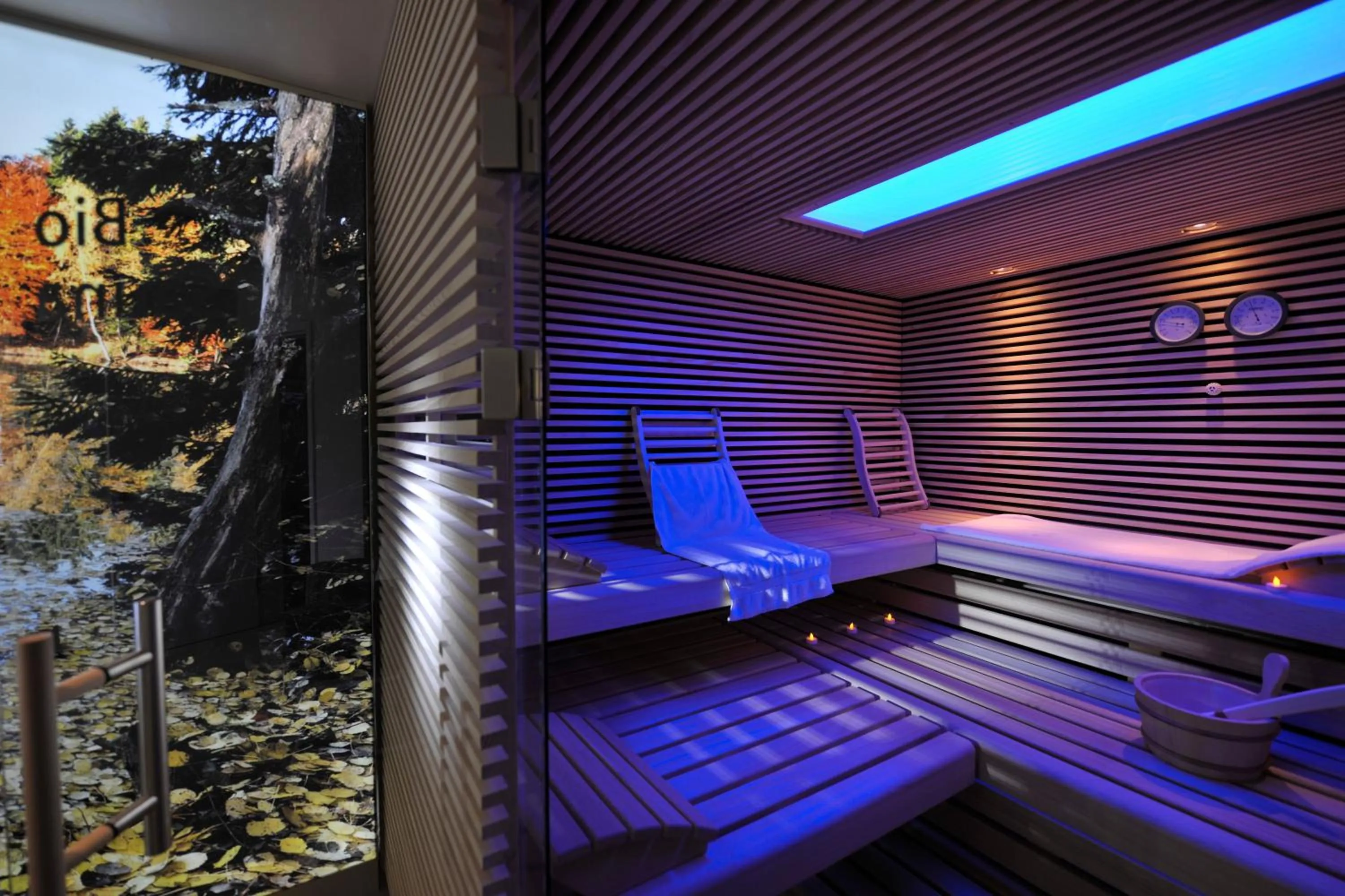 Sauna in Landidyll Hotel Restaurant Birkenhof