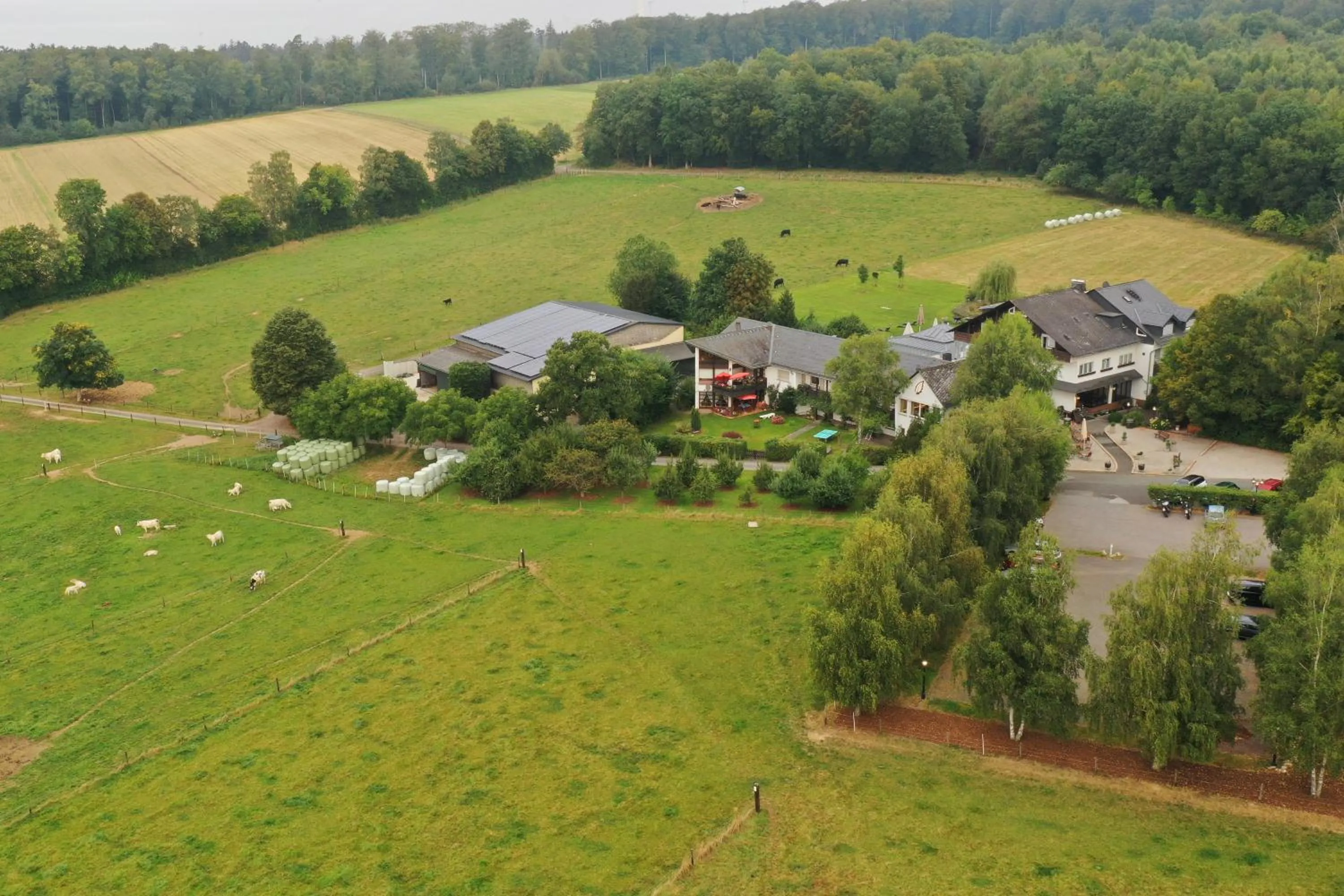 Property building in Landidyll Hotel Restaurant Birkenhof