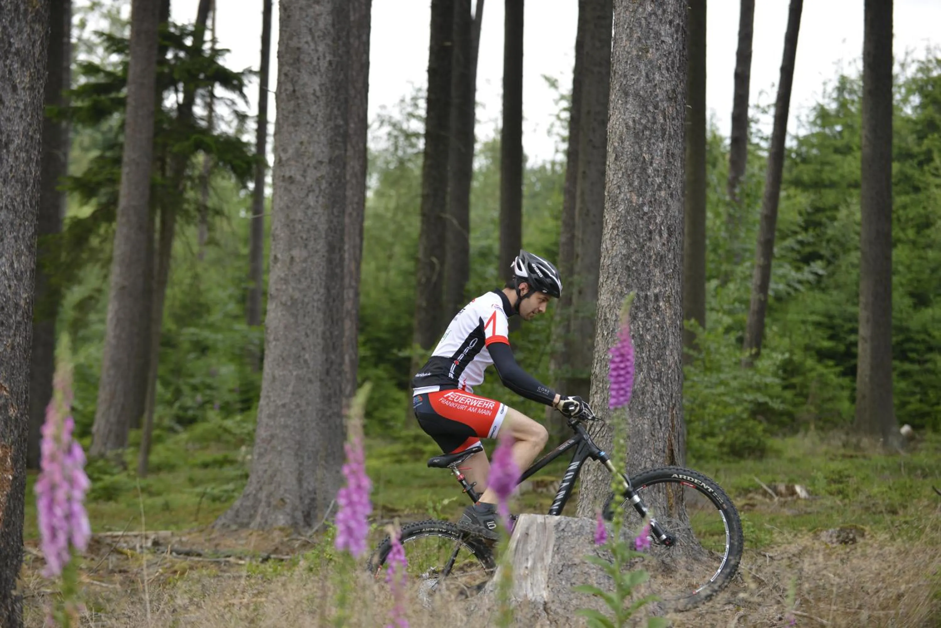 Cycling in Landidyll Hotel Restaurant Birkenhof