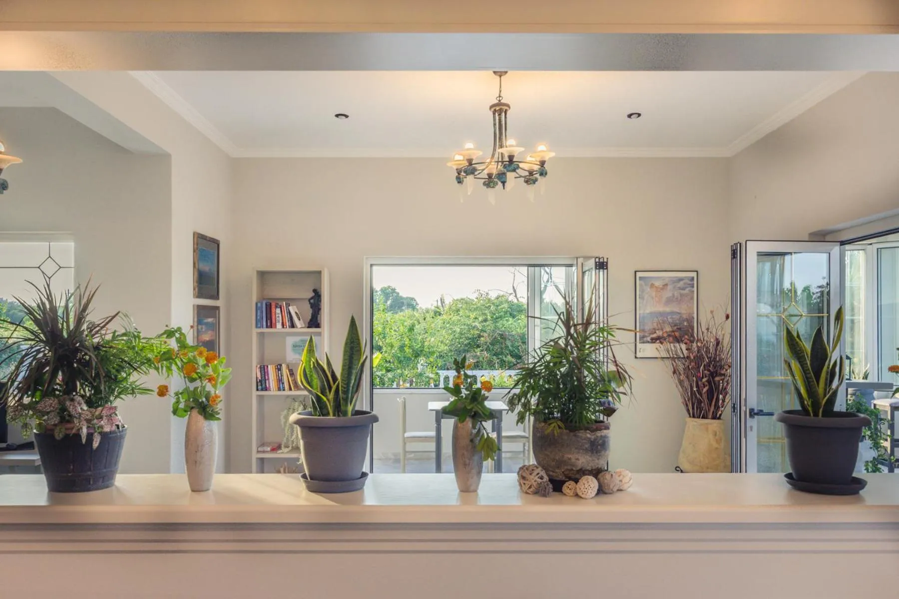 Library in Erofili Hotel