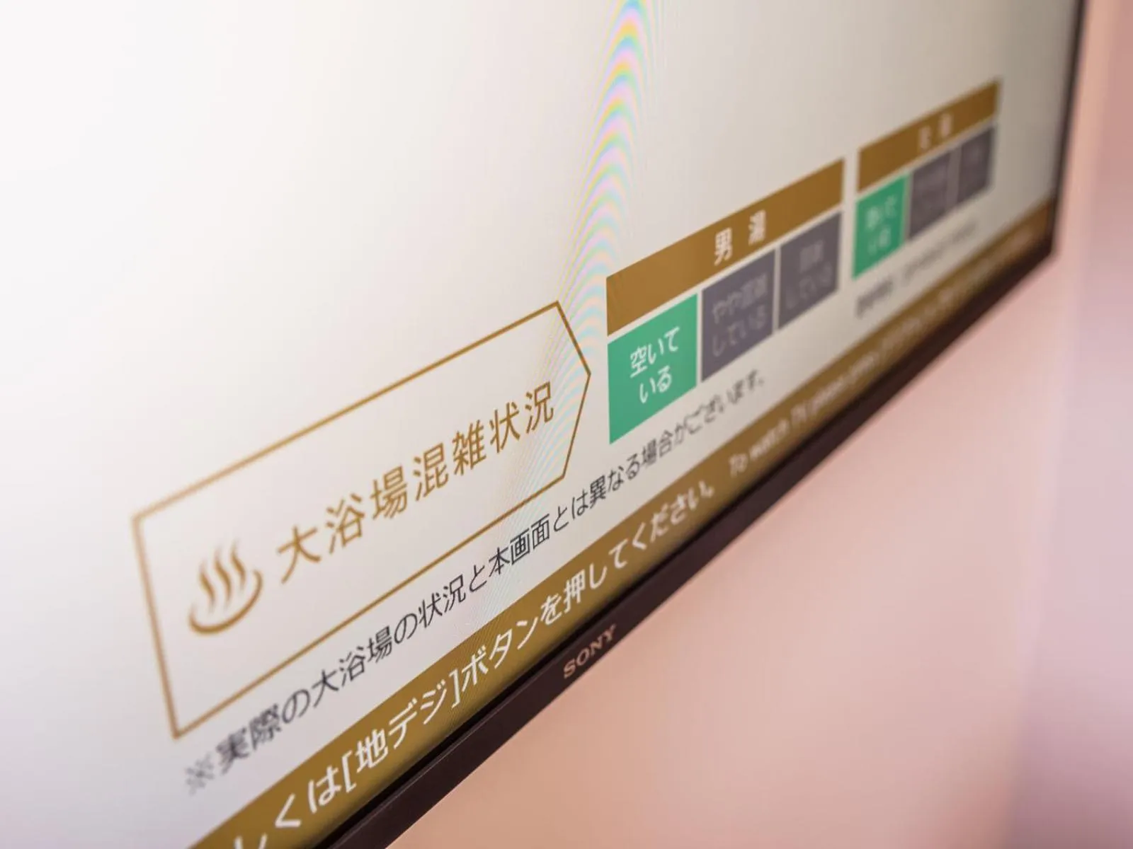 TV and multimedia in Super Hotel Anan Tomioka