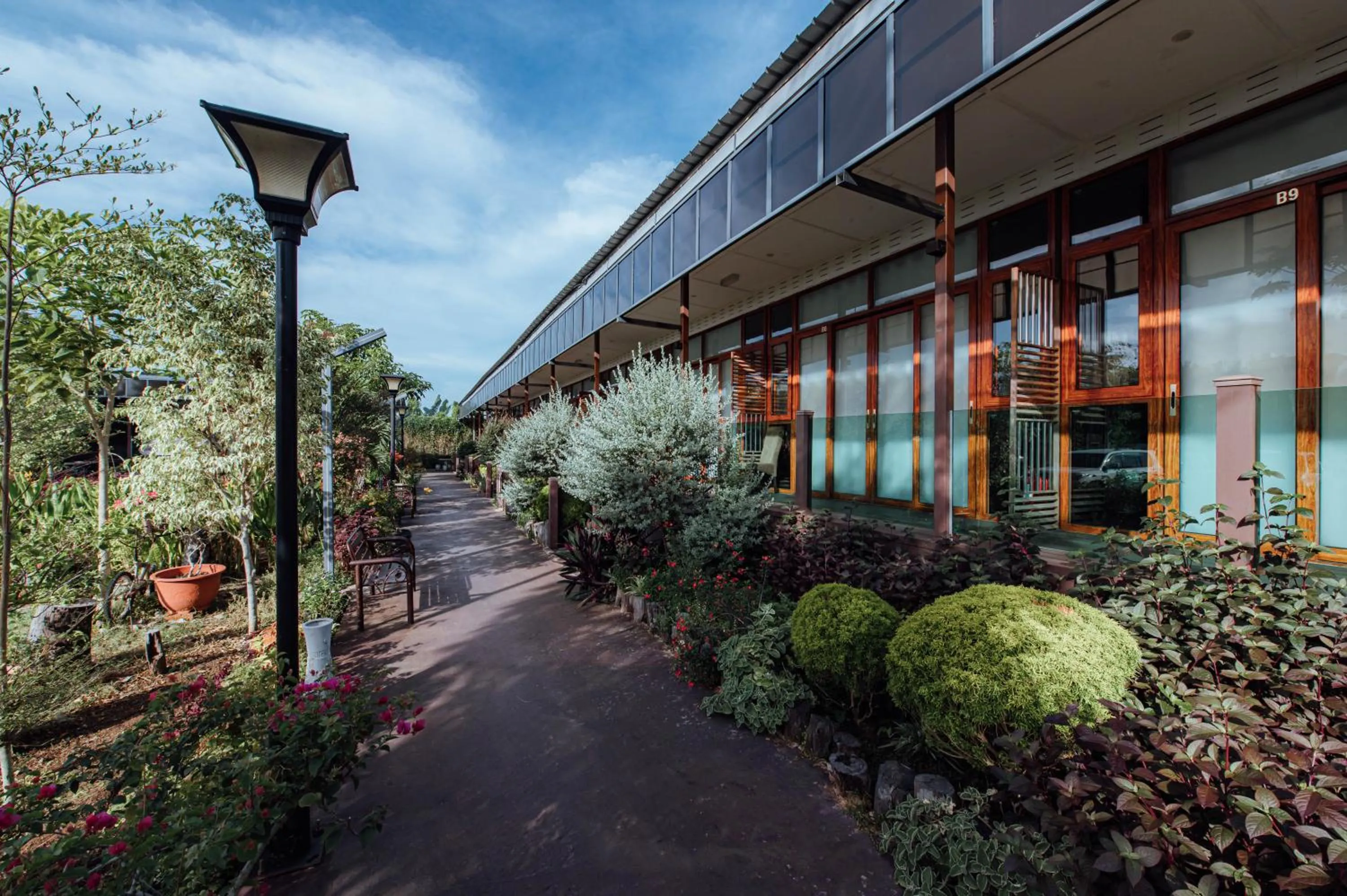 Garden view in Chan Living