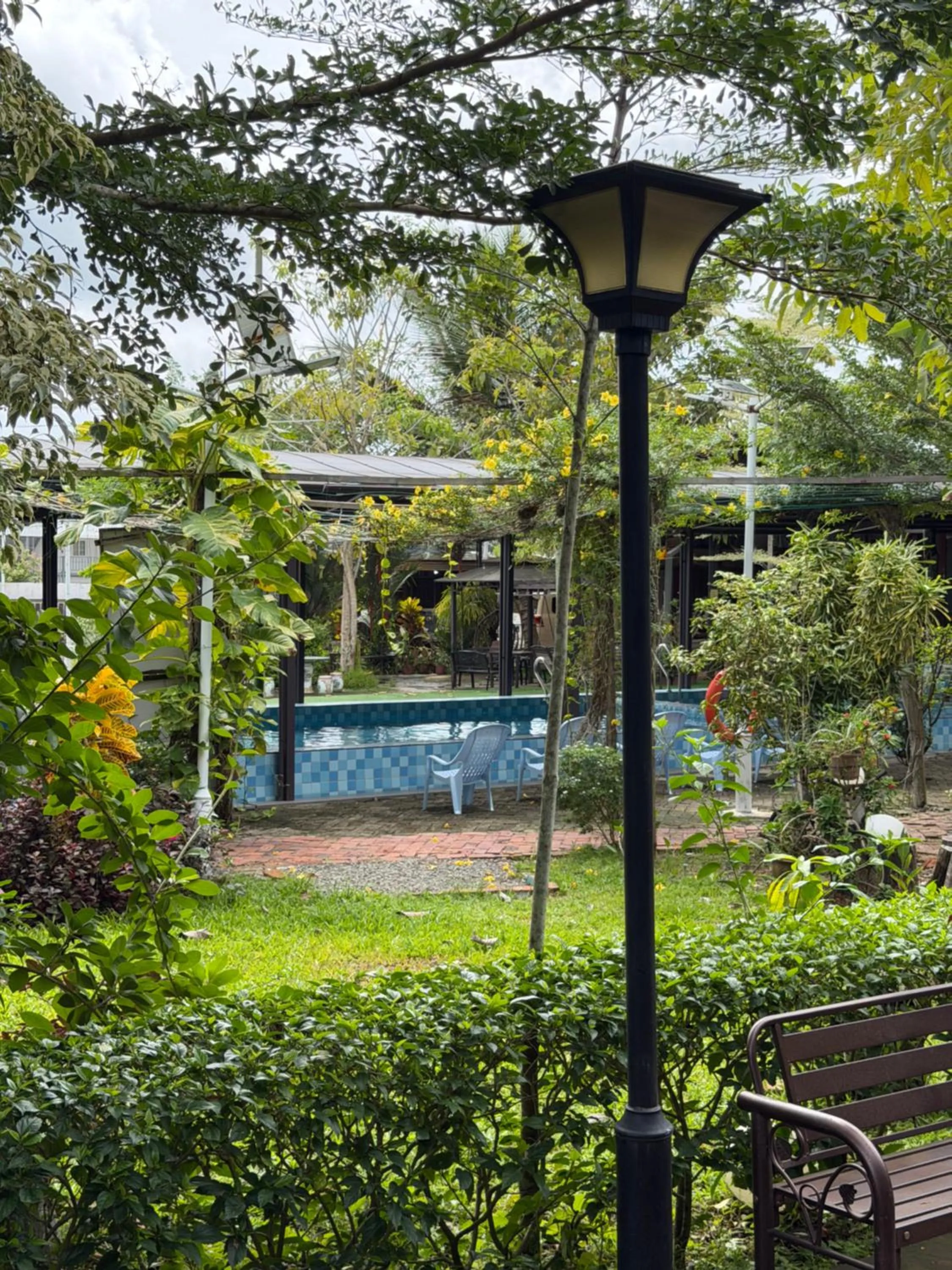 Pool view in Chan Living