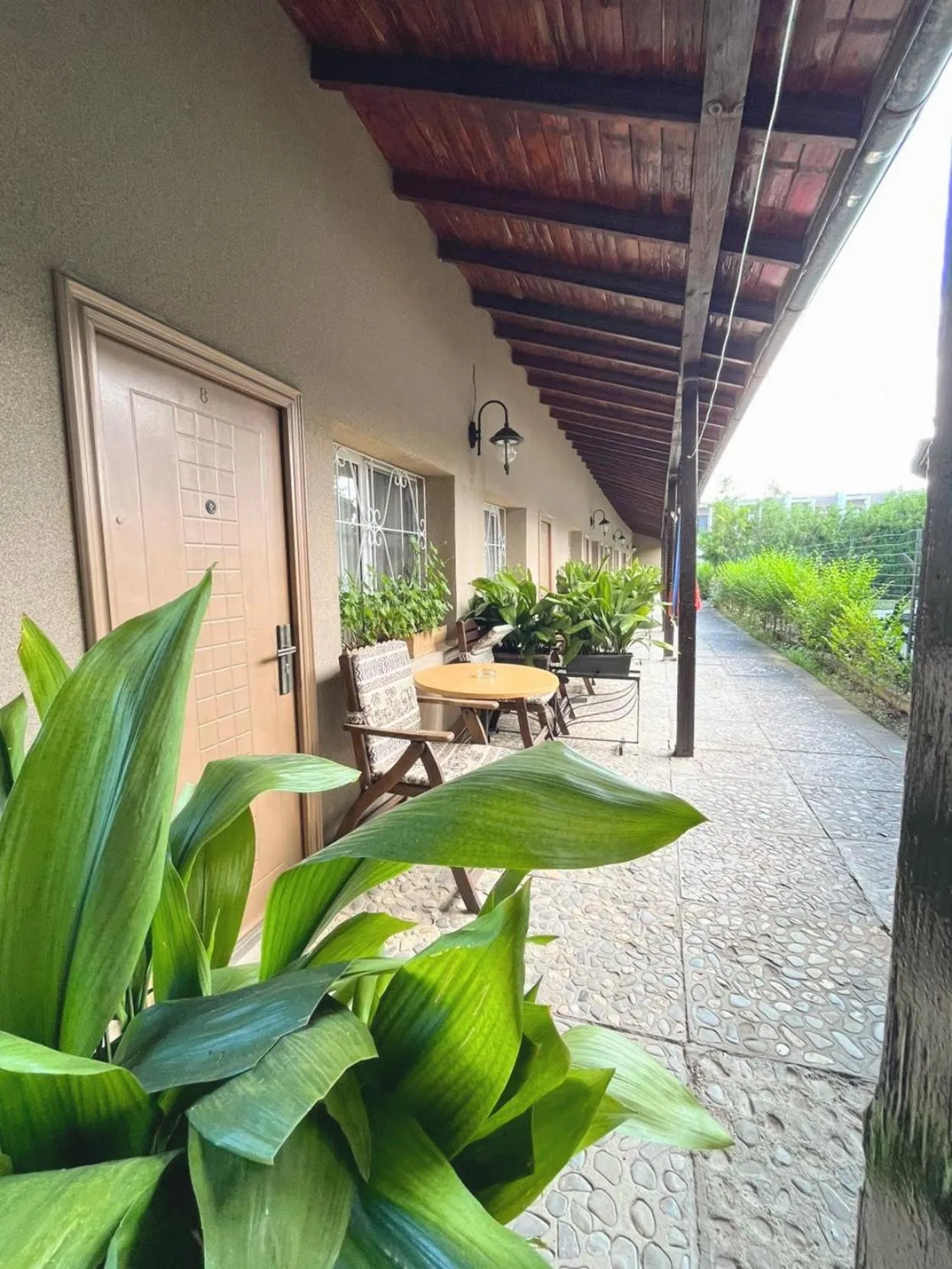 Garden in Lotus Family Hotel - Free Parking