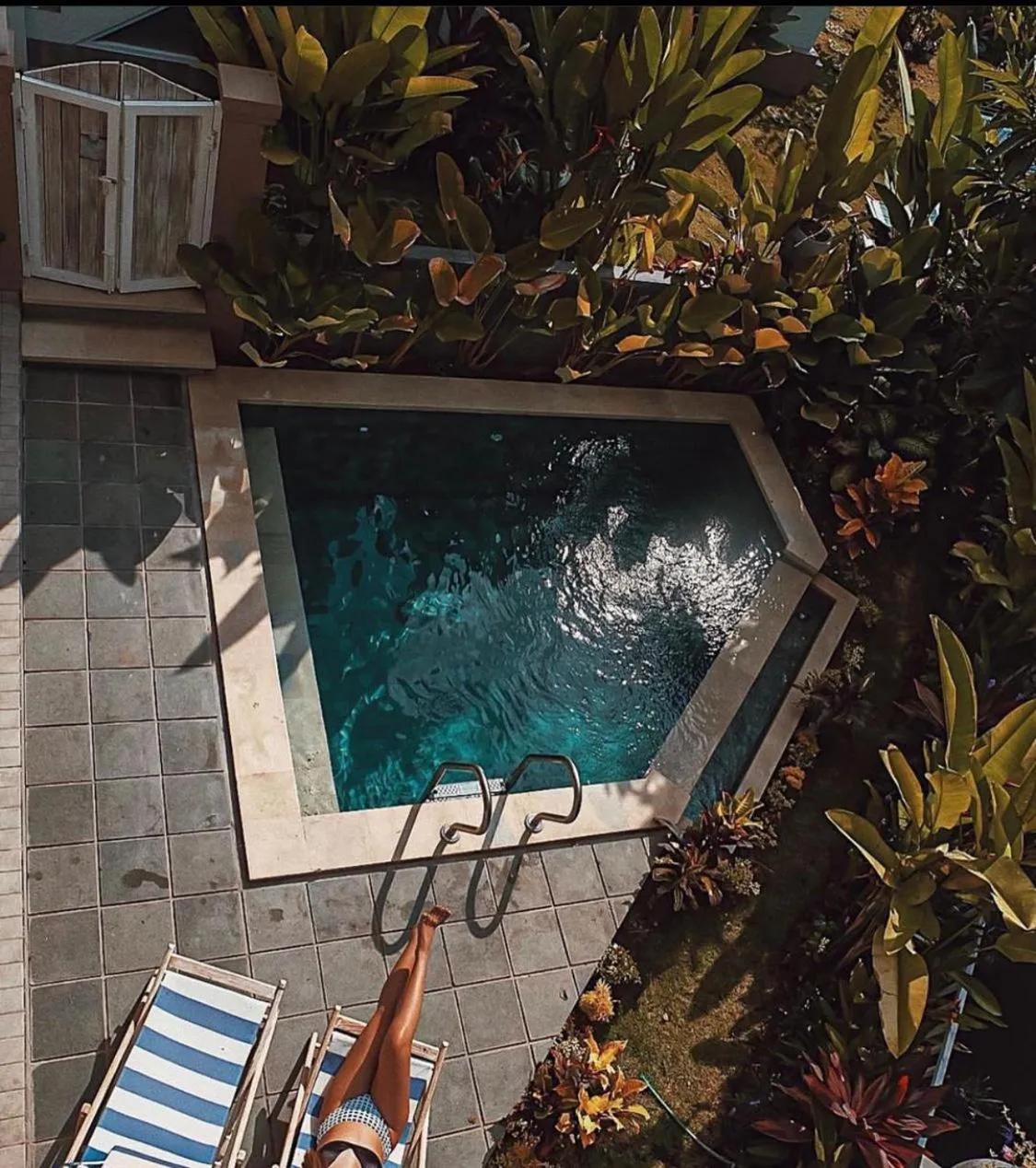 Pool view in The Sloth Bali