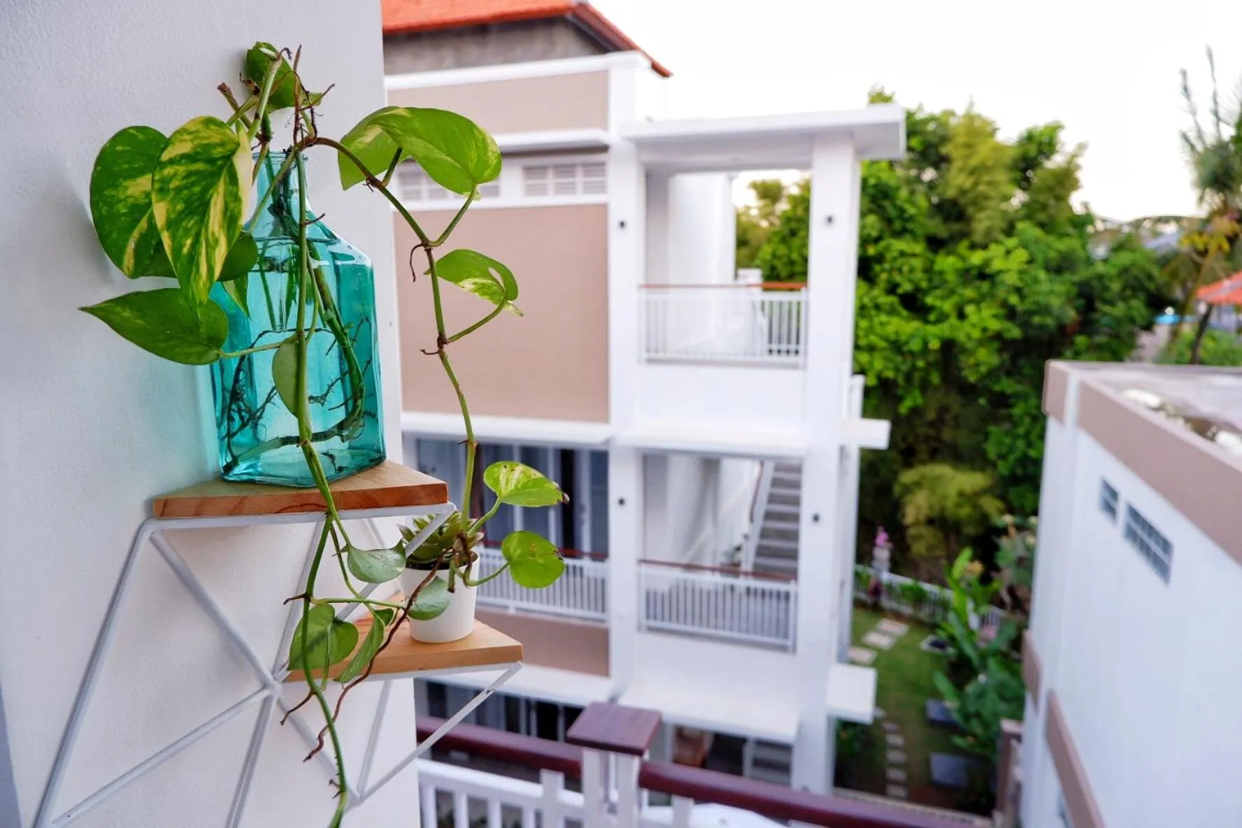 Bird's eye view in The Sloth Bali