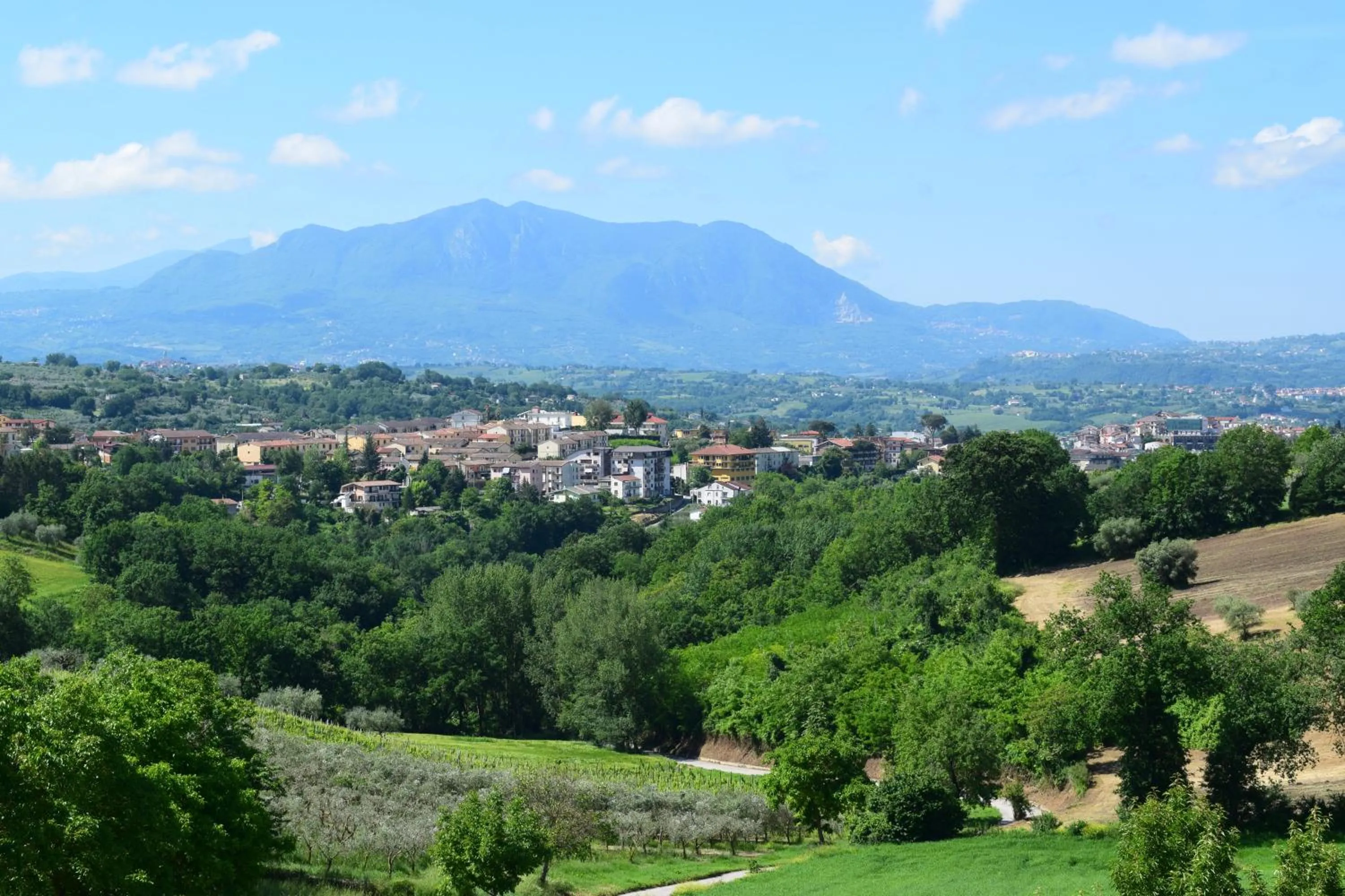 Nearby landmark in Regina Viarum