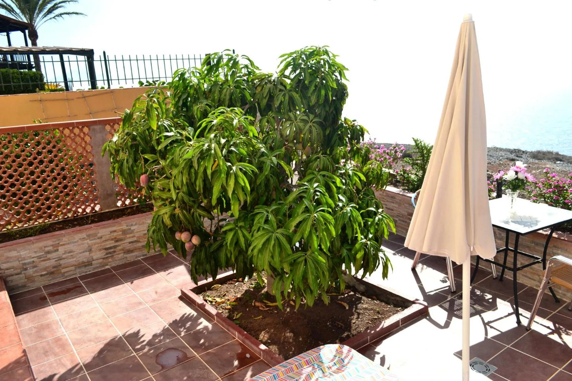 Apartamentos Casa Junonia