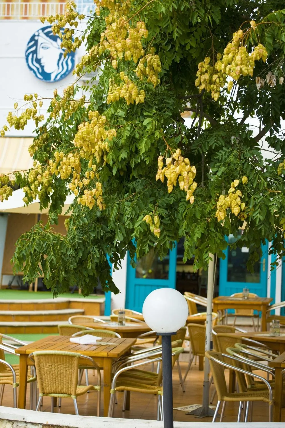 Facade/entrance in Kaliopa Hotel