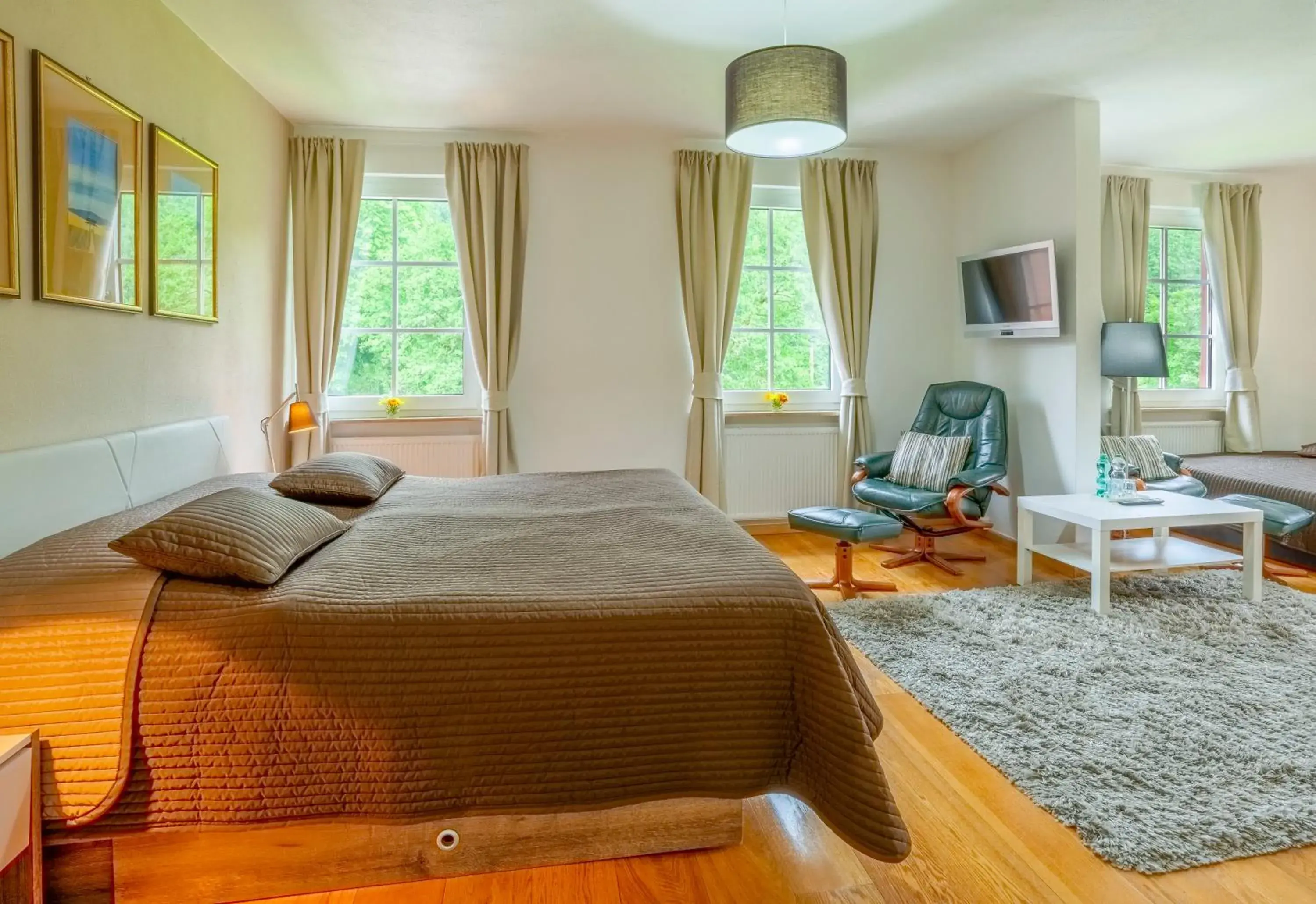 Double Room - single occupancy in Landgasthof Geiersmühle Double Room - single occupancy in Landgasthof Geiersmühle