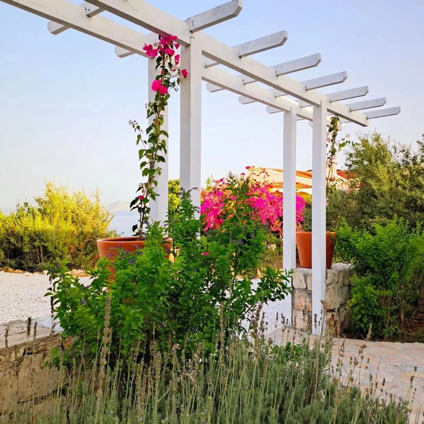Facade/entrance in Sea Garden Kaş Hotel