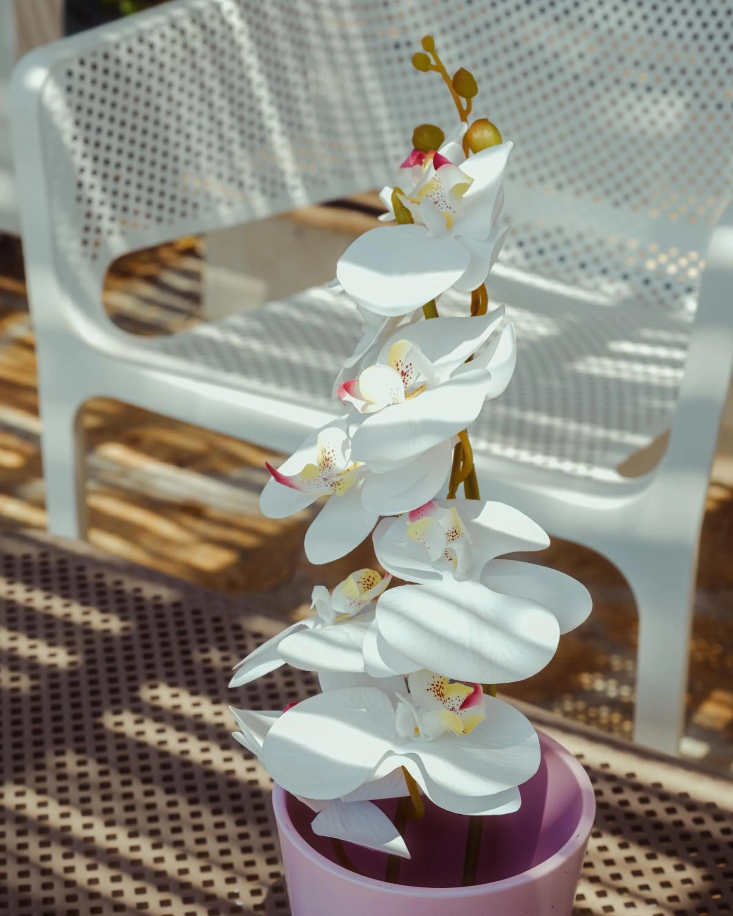 Patio in Sea Garden Kaş Hotel