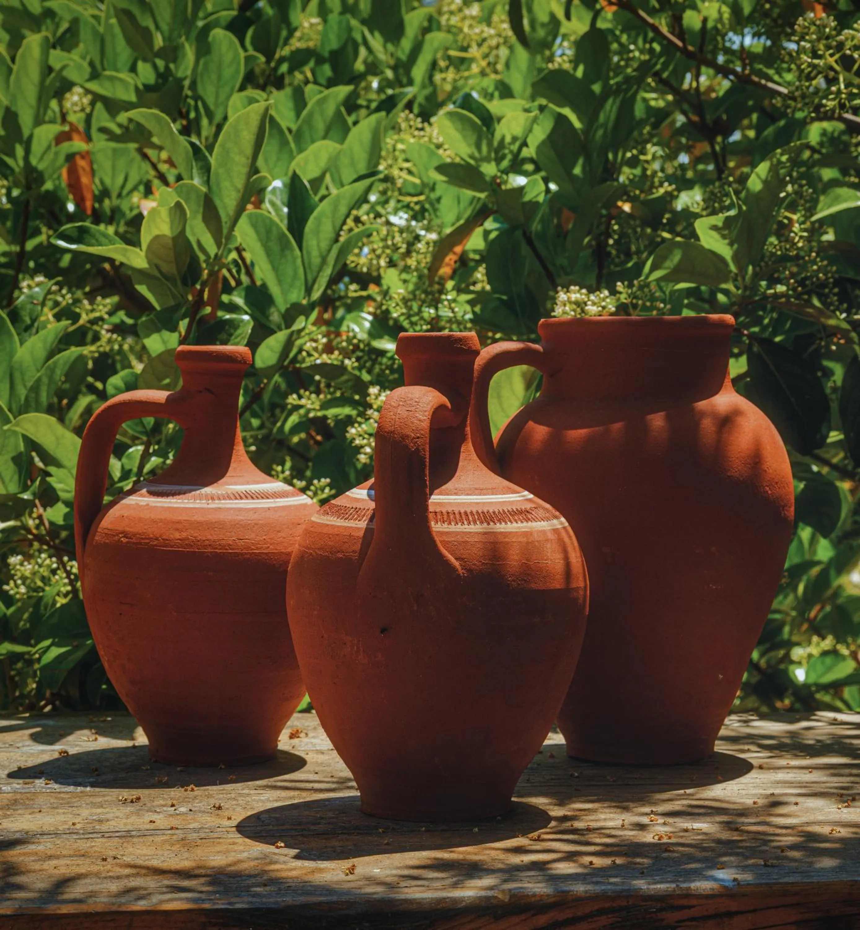 Day in Sea Garden Kaş Hotel
