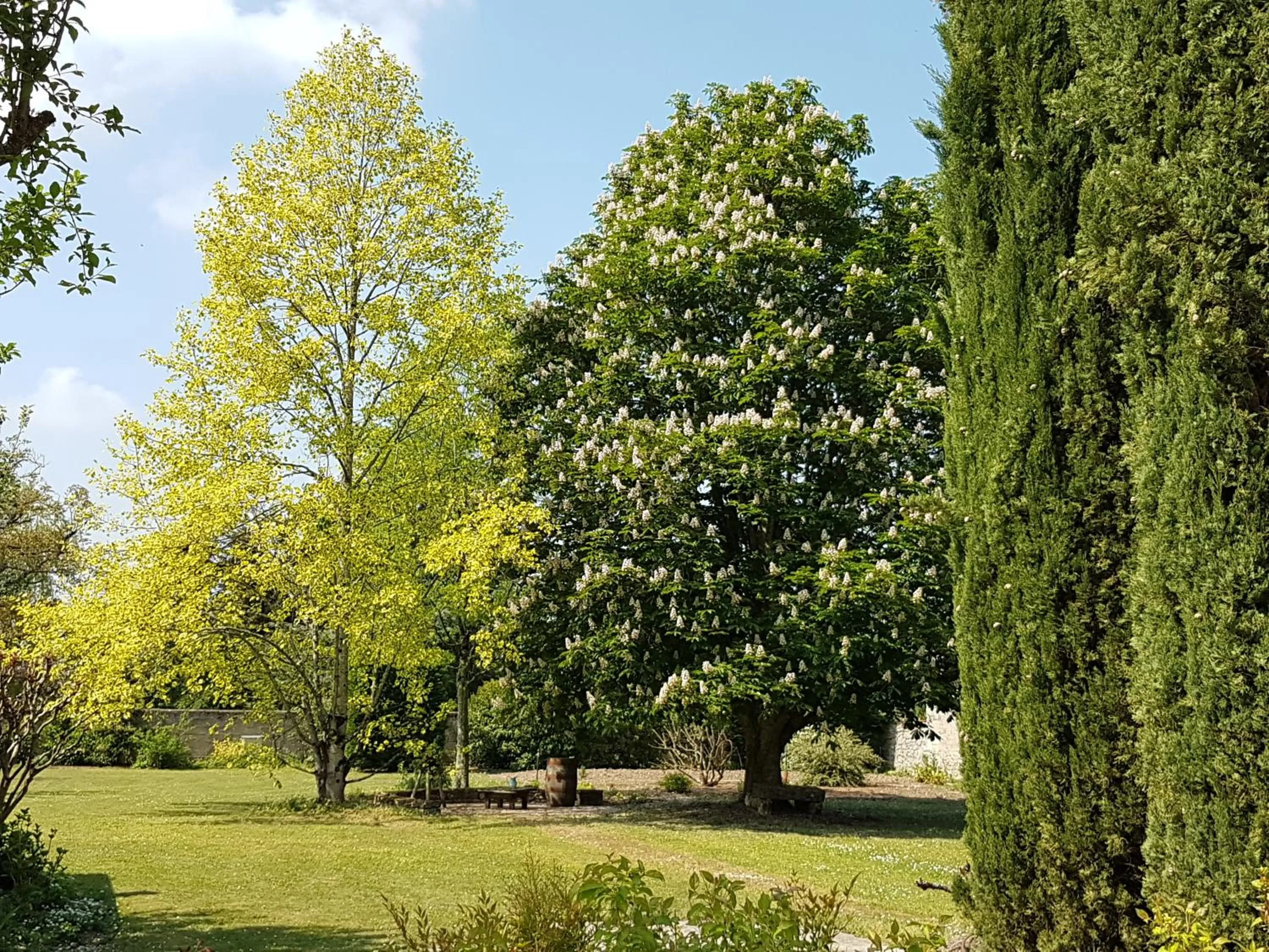 la blanchetière