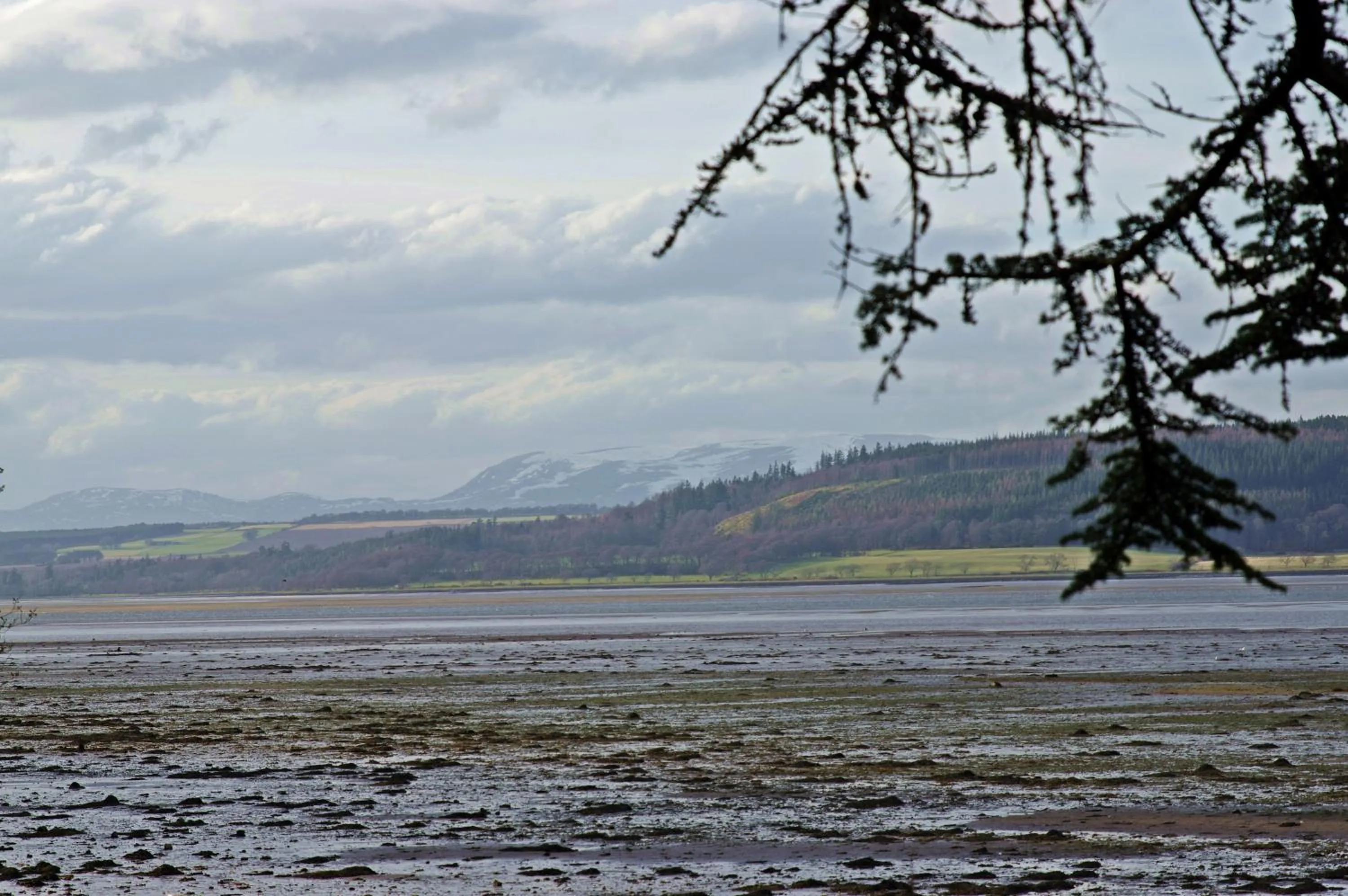 Garden in Bunchrew House Hotel