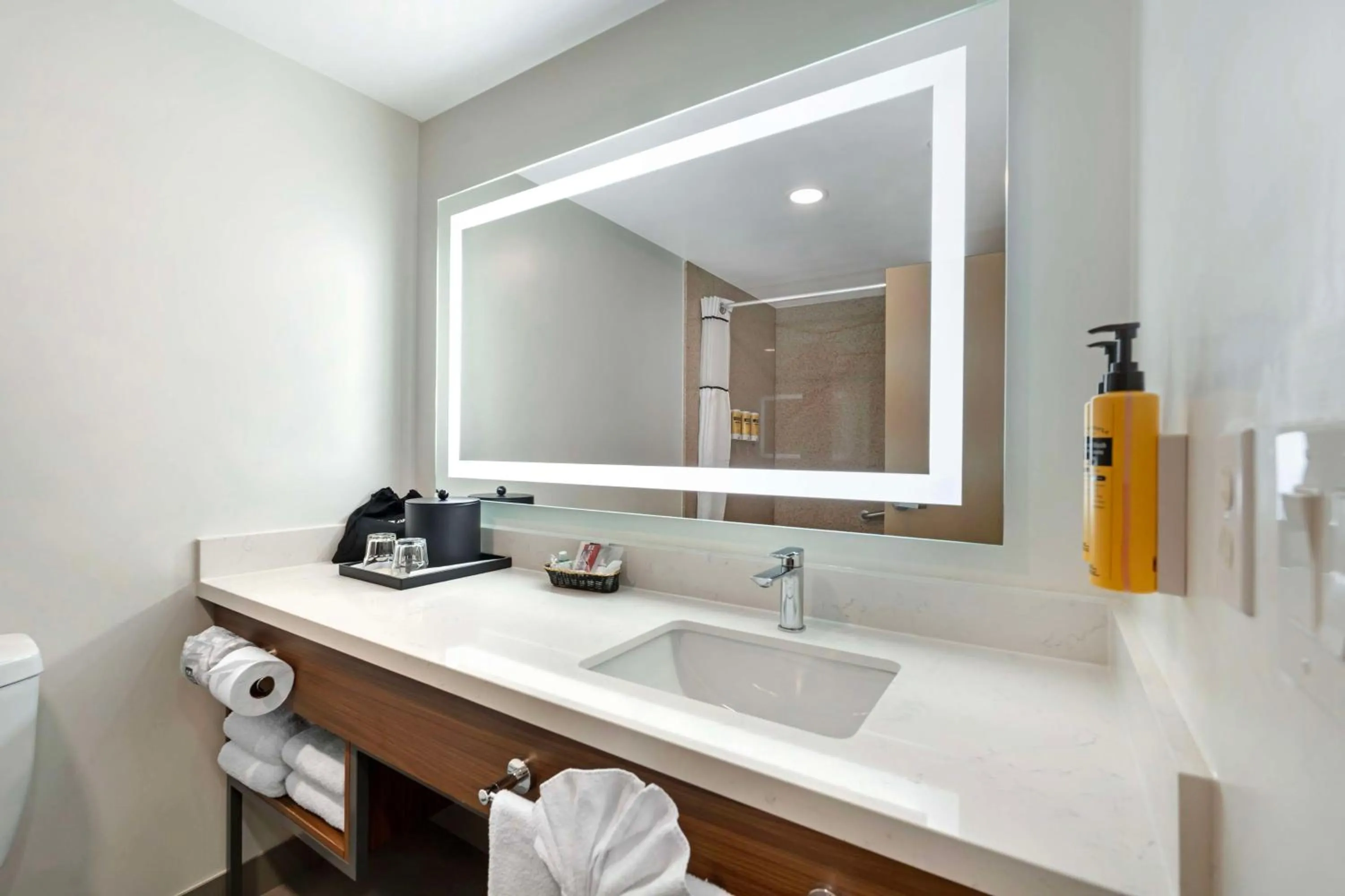 Bathroom in Best Western Plus Newport Mesa Inn