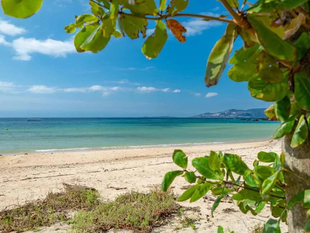 Off site in Beach Resort Hotel Kalakaua