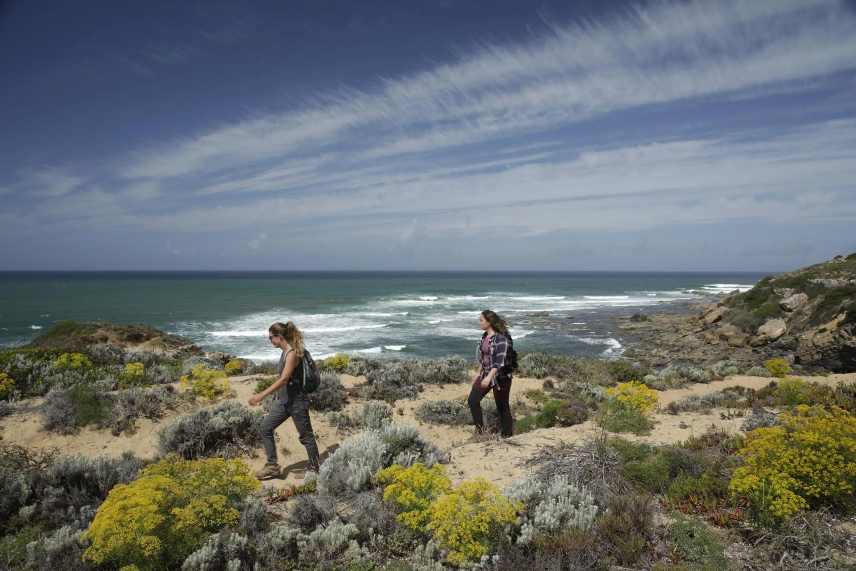 Natural landscape in Herdade da Matinha Country House & Restaurant