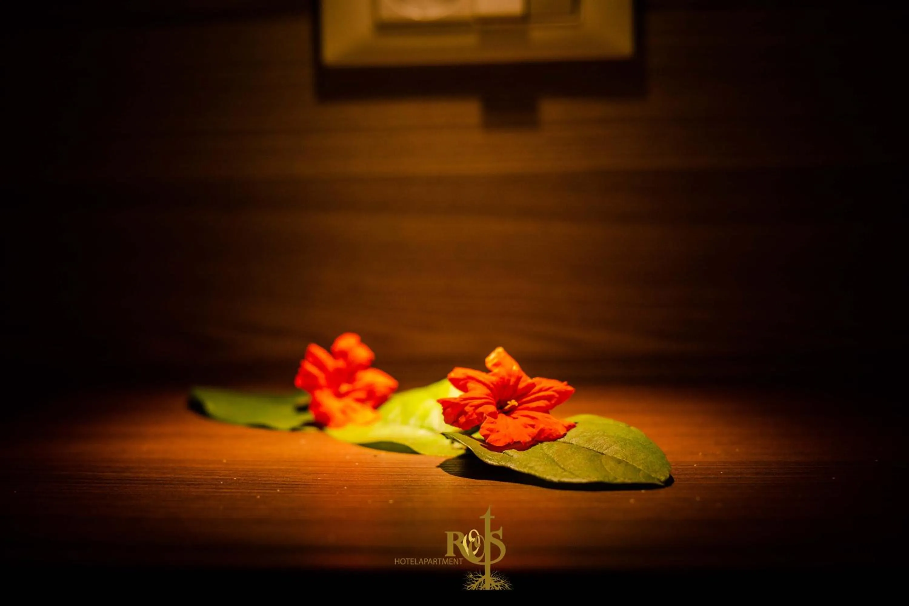 Roots Hotel Apartments Abidjan