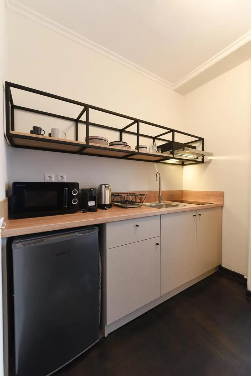 Kitchen or kitchenette in ATHENS STORIES