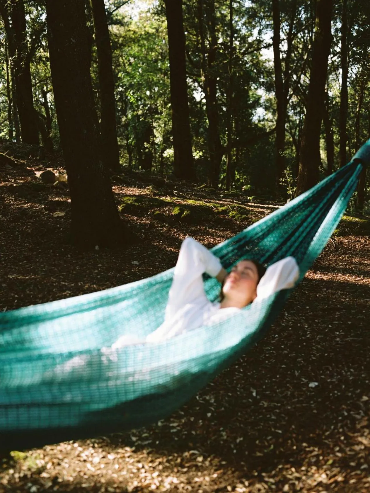 Natural landscape in Castello di Casole, A Belmond Hotel, Tuscany
