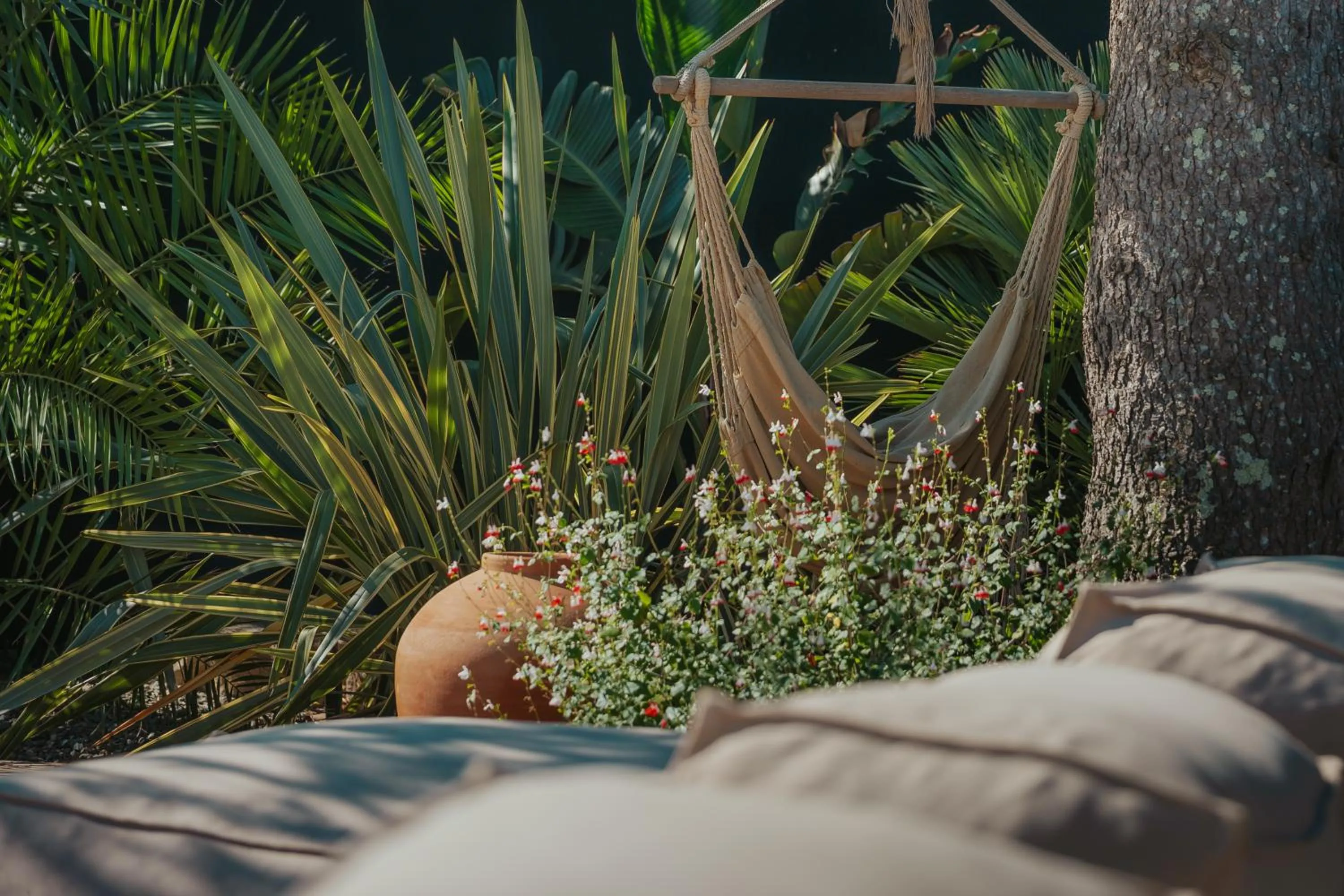 Garden in L'Oasis Vendargues