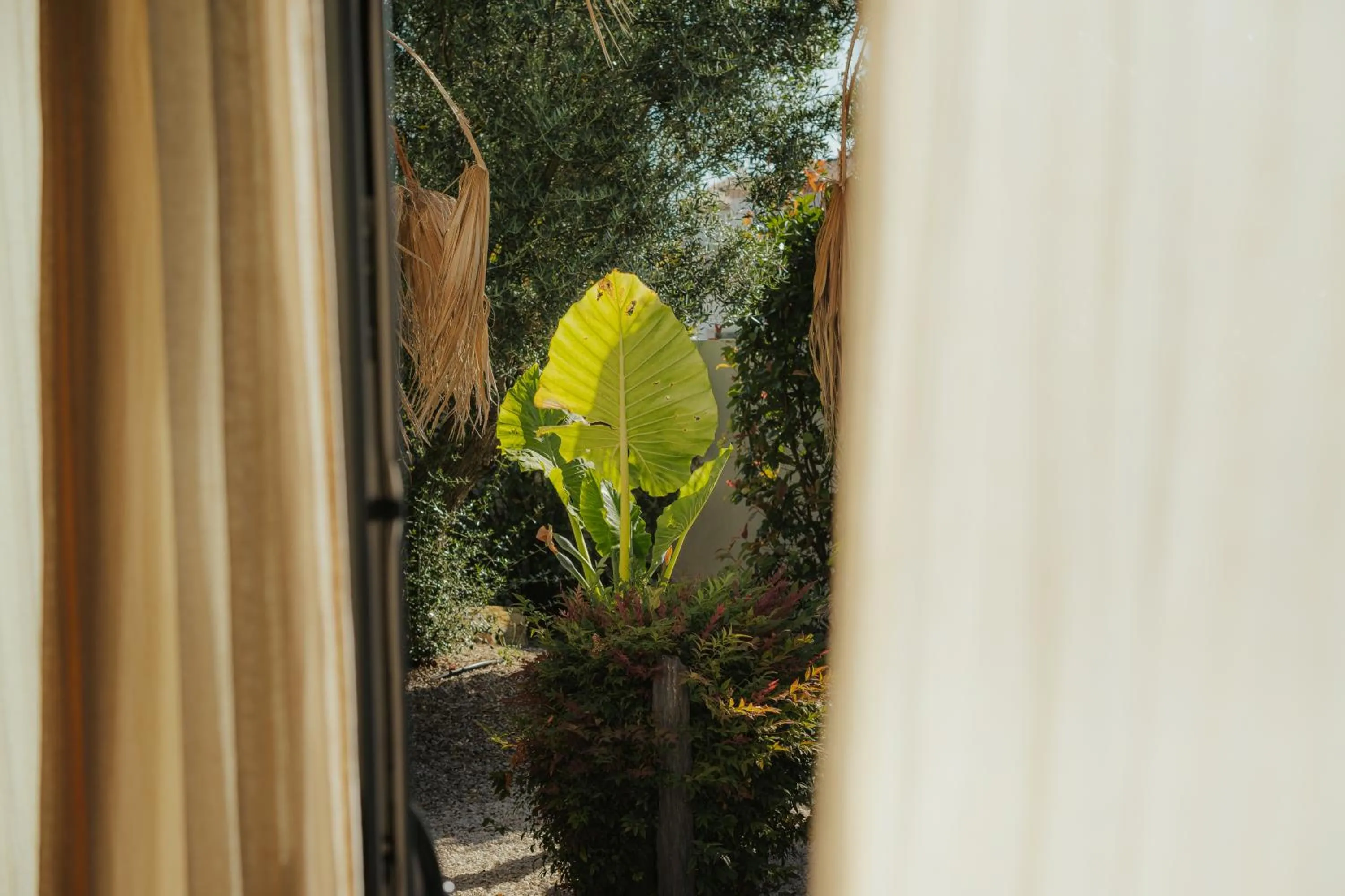 Day in L'Oasis Vendargues