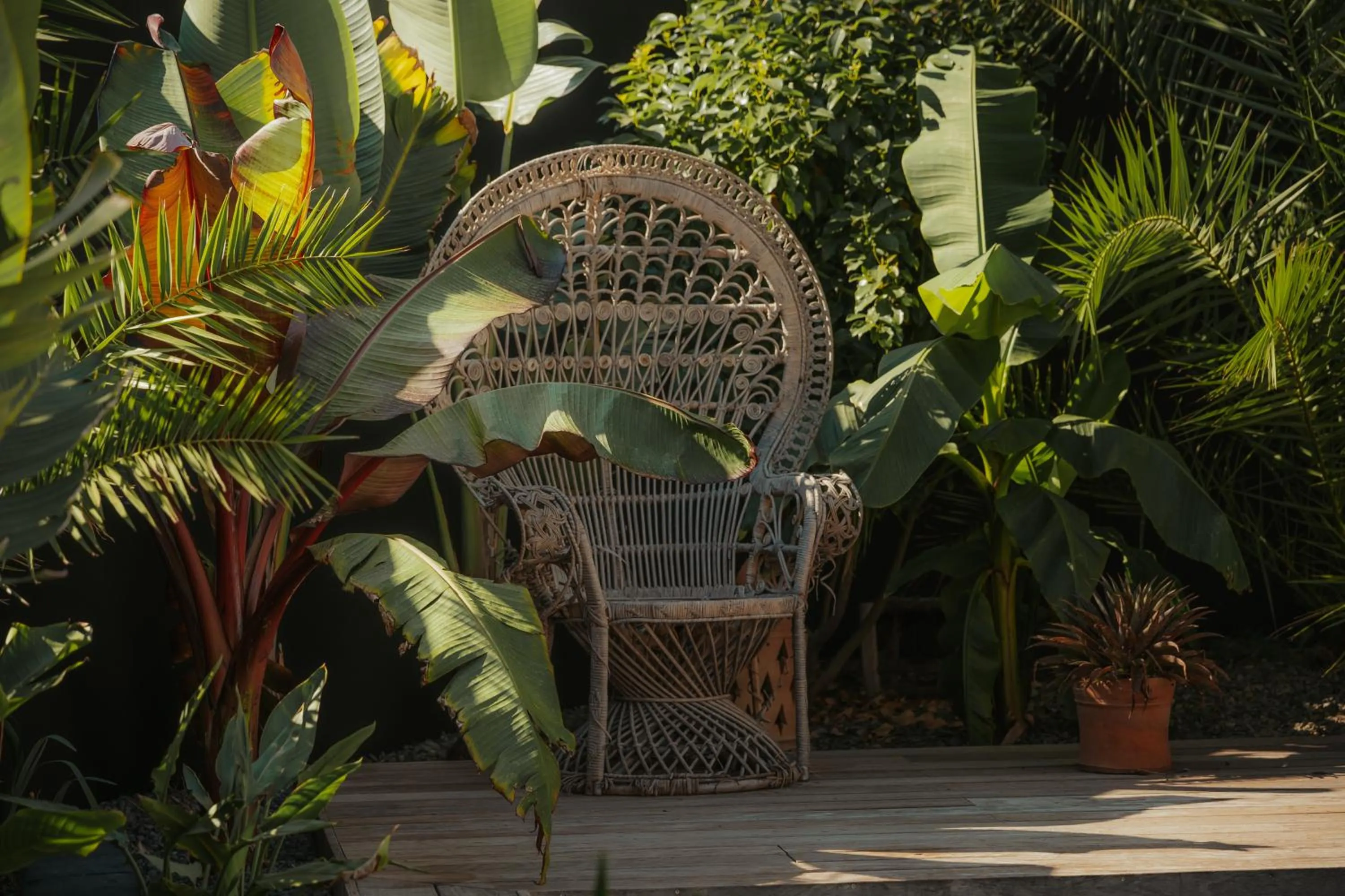 Garden in L'Oasis Vendargues