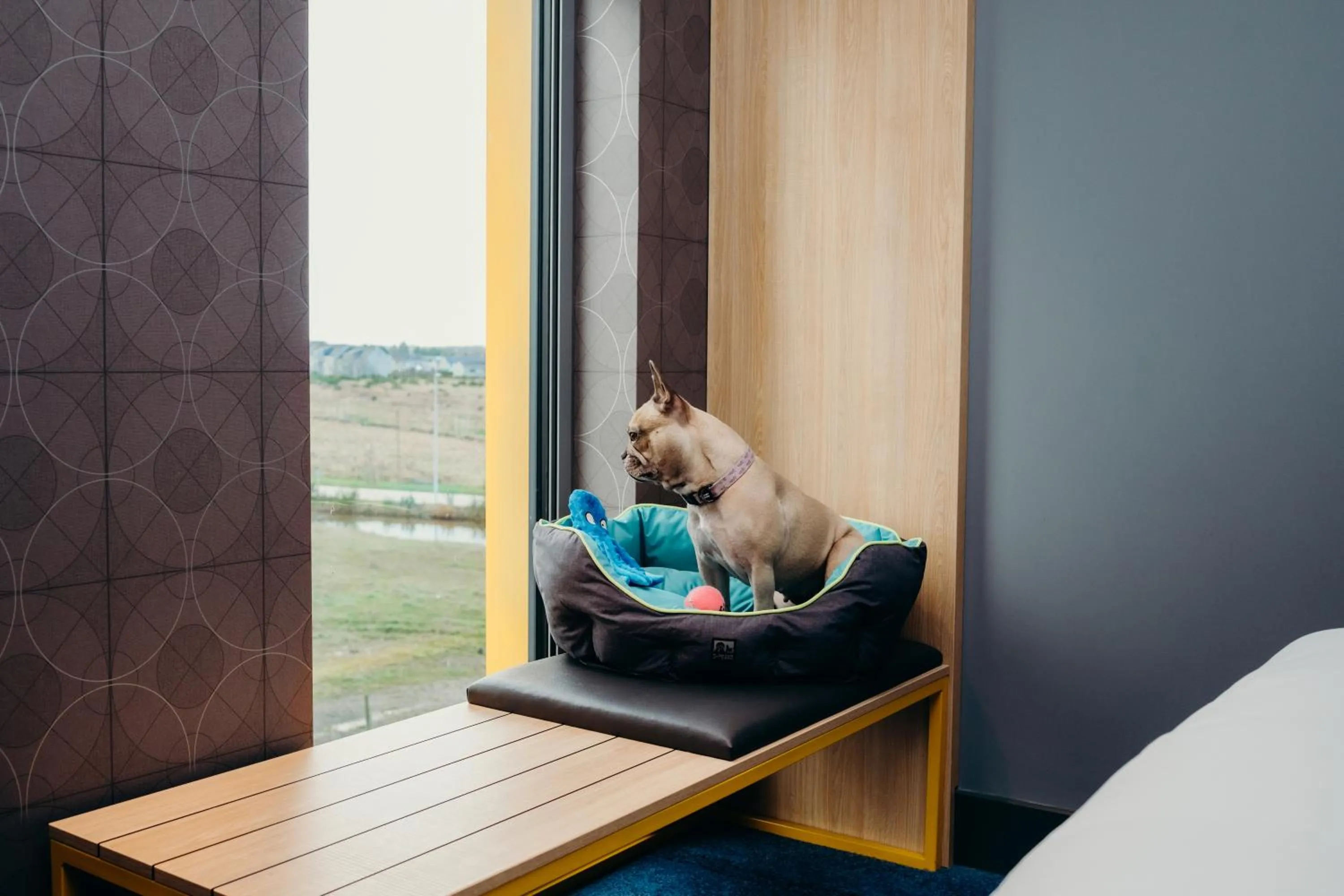 Bed in Aloft Aberdeen TECA