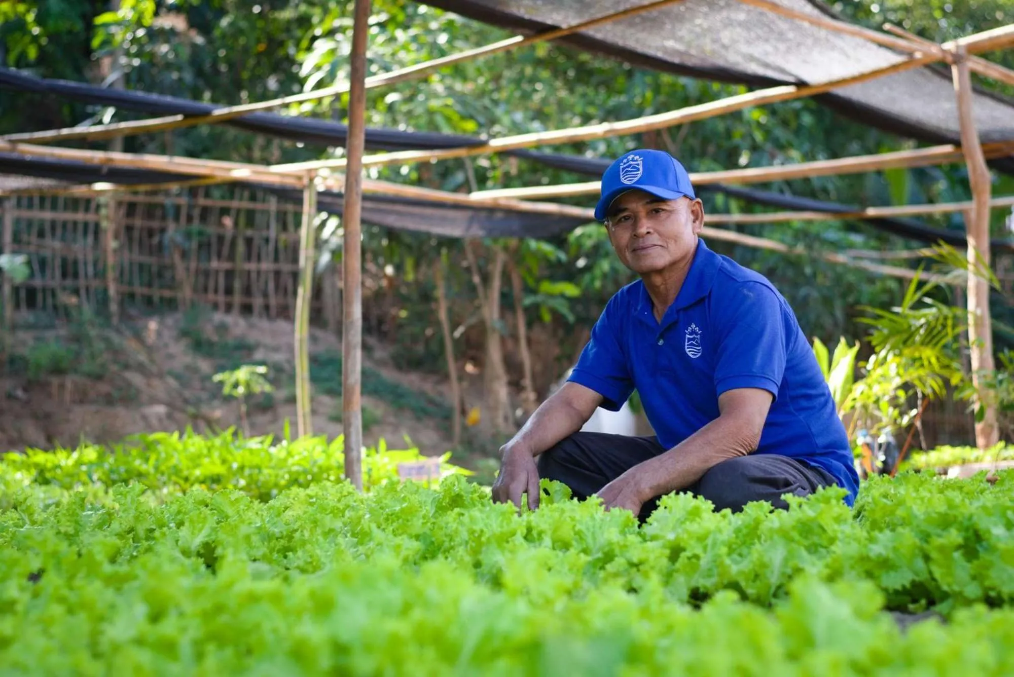 Garden in The Belle Rive Boutique Hotel