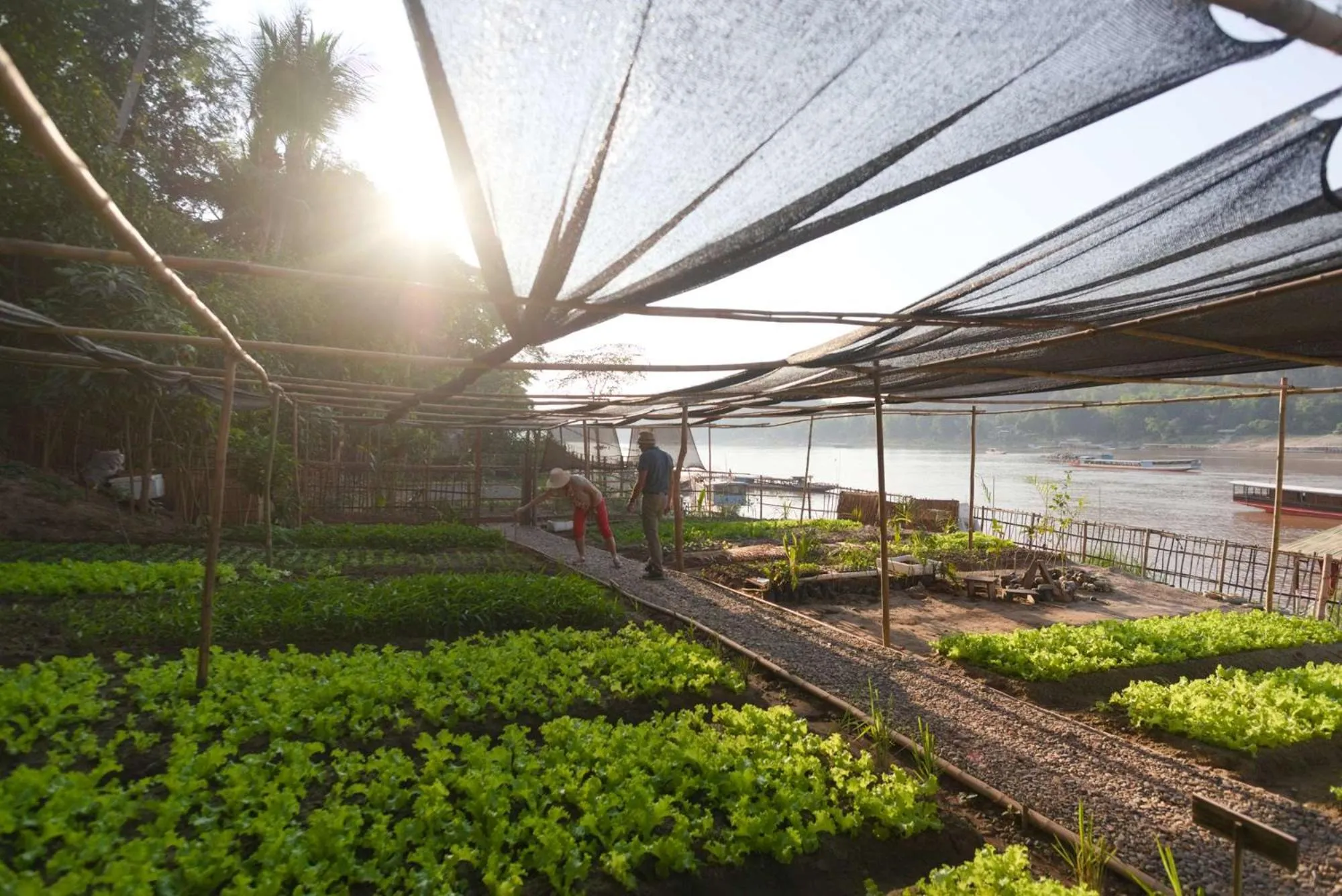 Garden in The Belle Rive Boutique Hotel