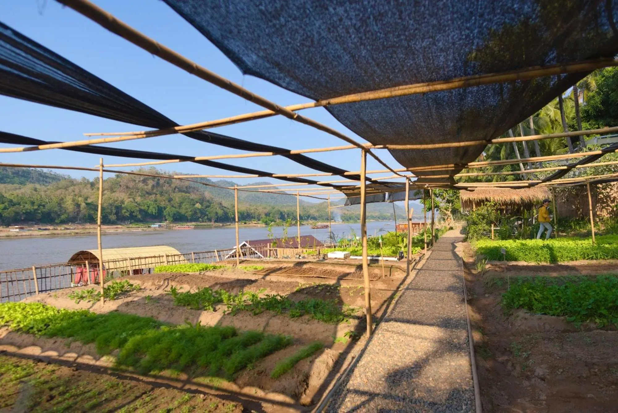 Garden in The Belle Rive Boutique Hotel