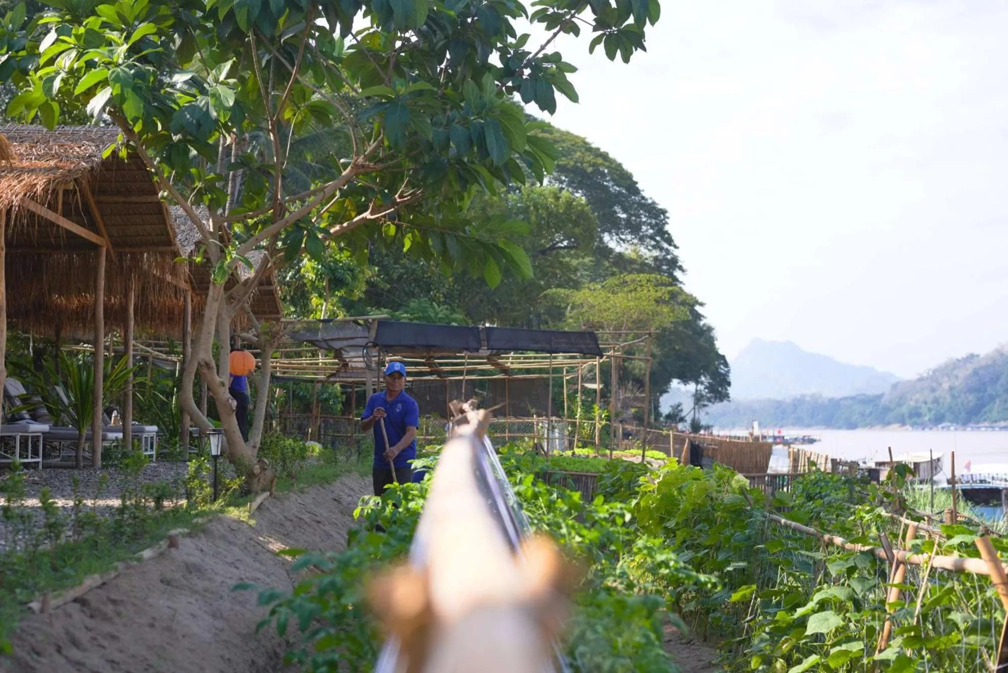 Garden in The Belle Rive Boutique Hotel