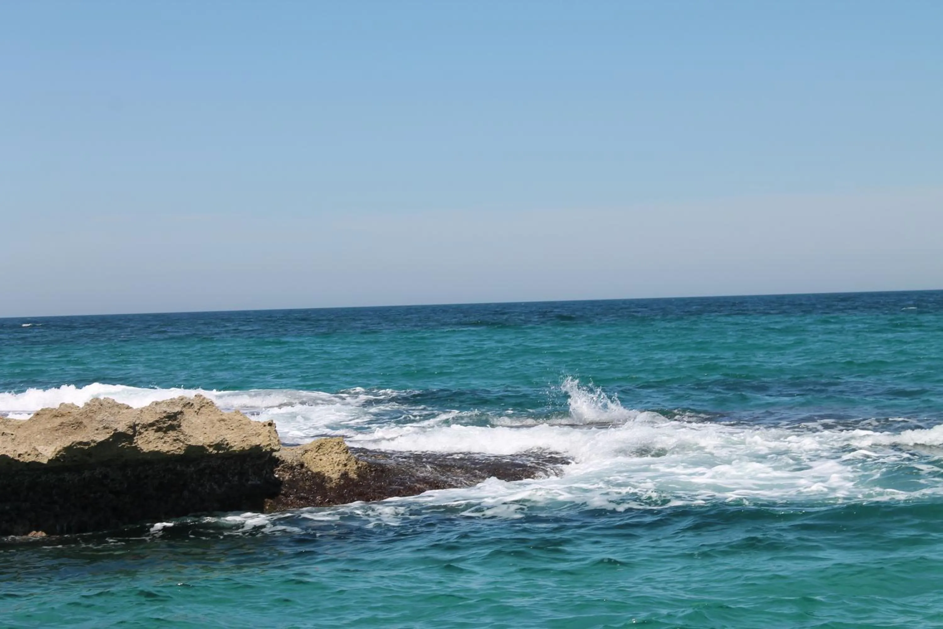 Natural landscape in Hotel Victoria