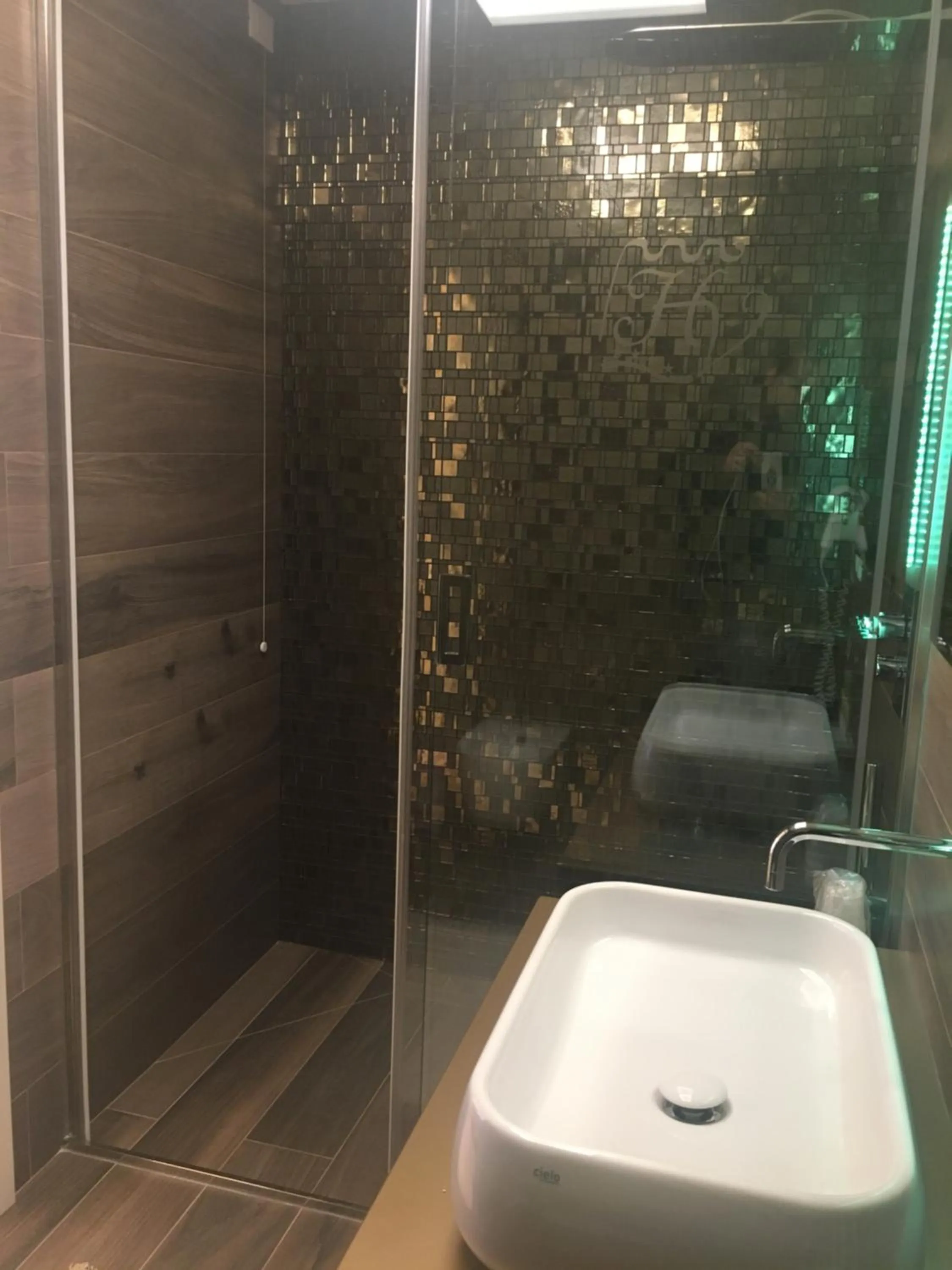 Shower in Hotel Victoria