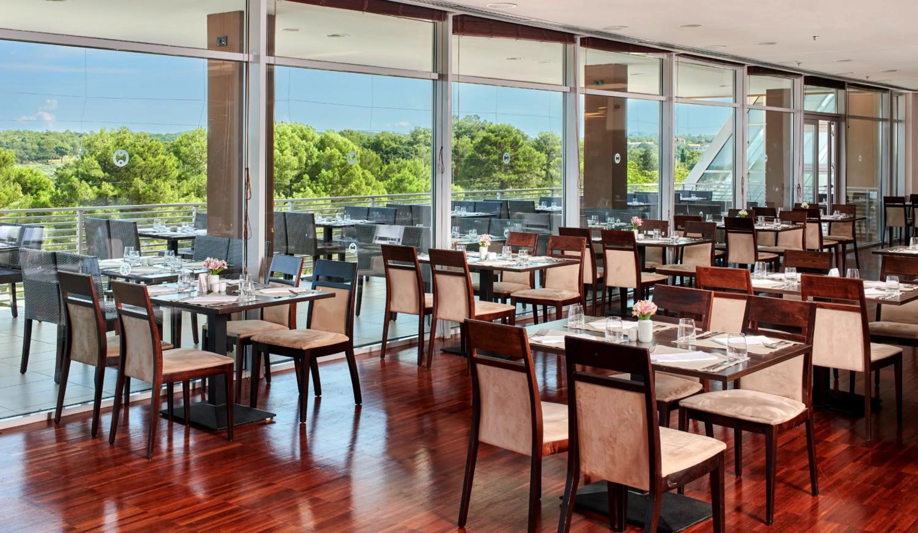 Restaurant/places to eat in Hotel Molindrio Plava Laguna