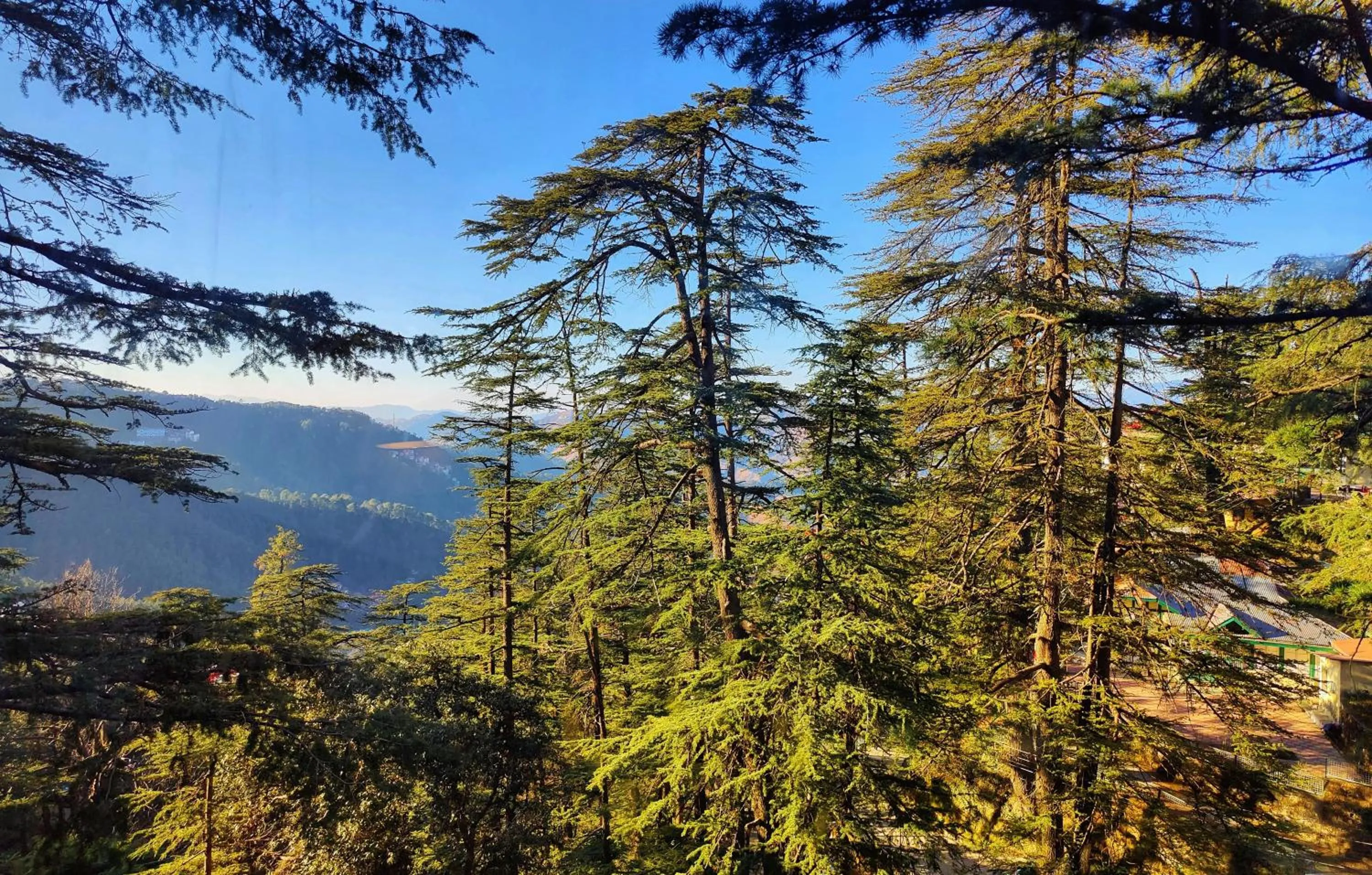 View (from property/room) in Royale Retreat Hotel & Spa Near Mall Road