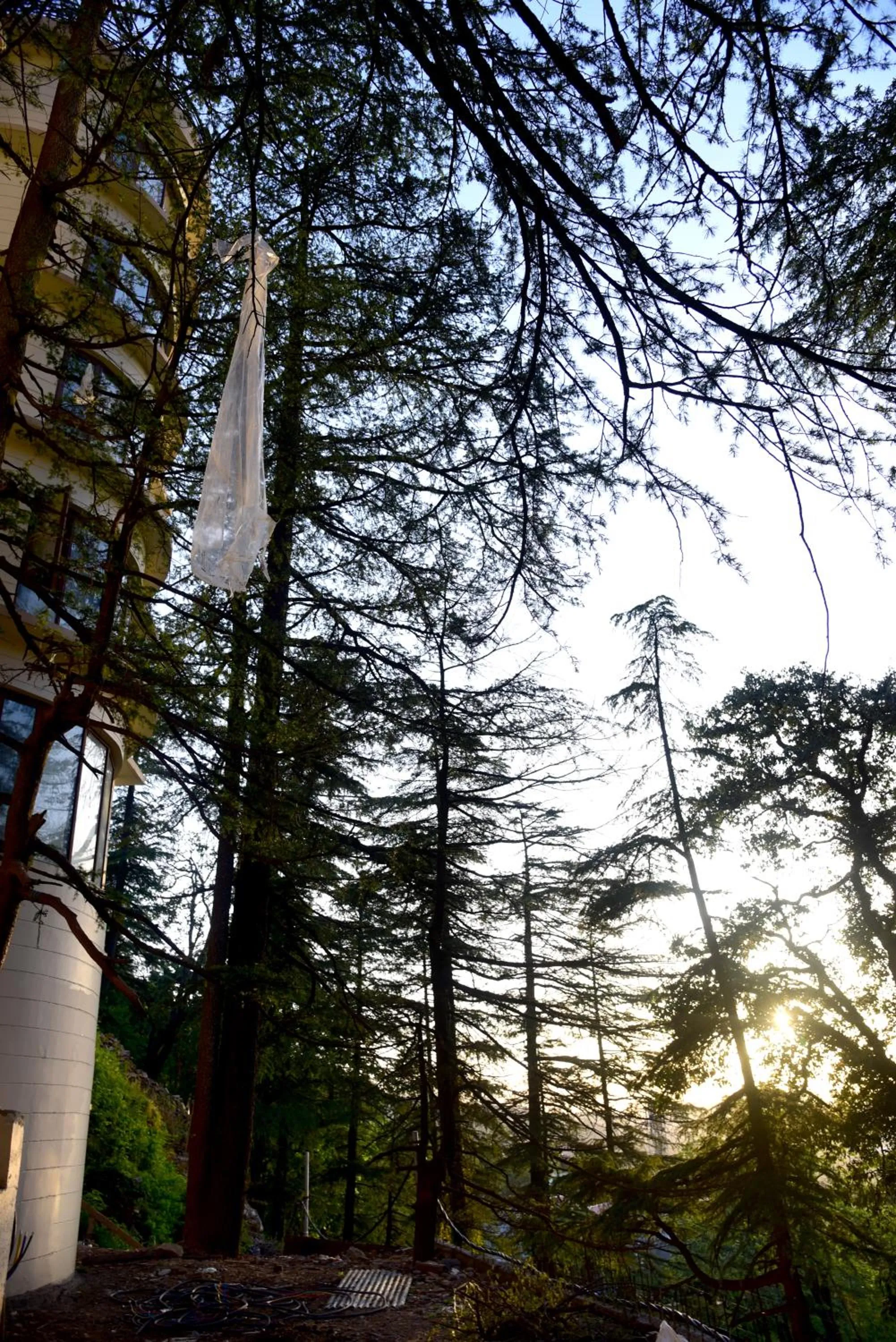 View (from property/room) in Royale Retreat Hotel & Spa Near Mall Road