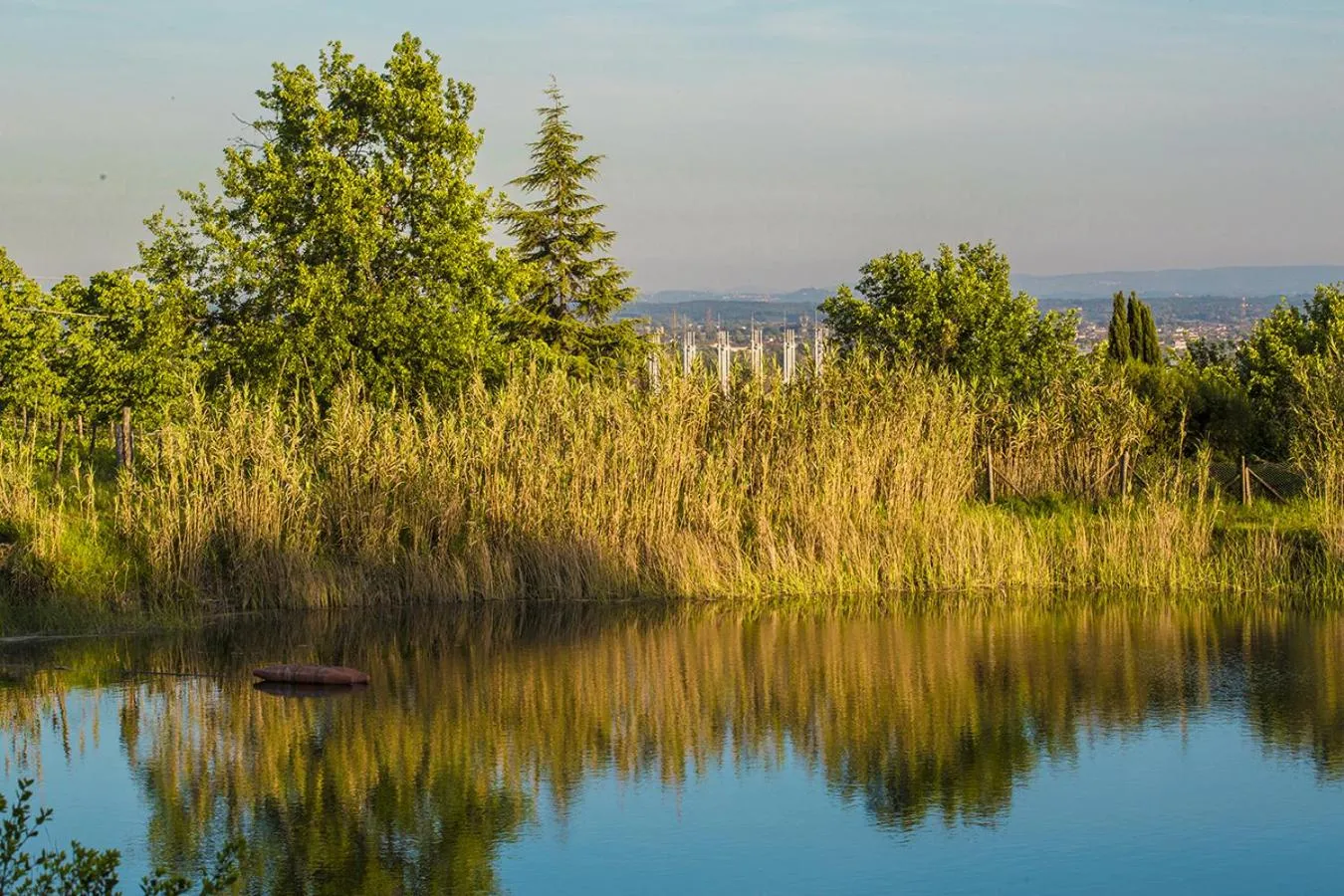 Natural landscape in casina MeMe