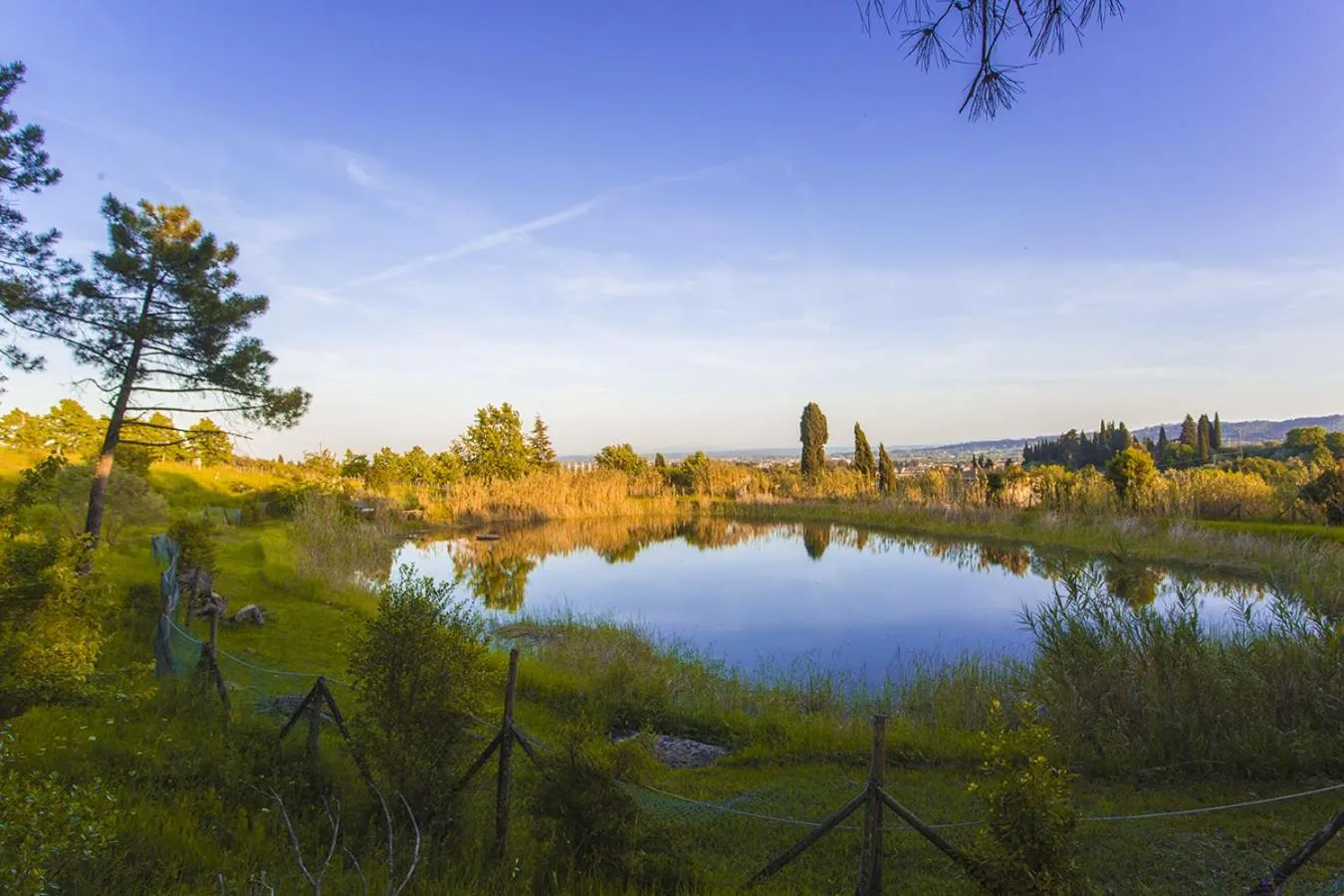 Natural landscape in casina MeMe