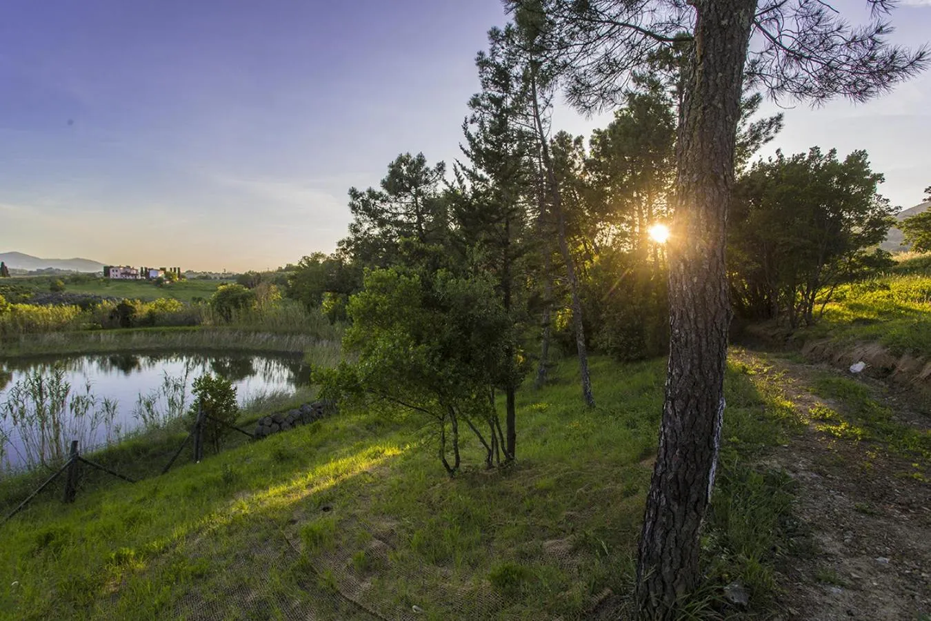 Natural landscape in casina MeMe
