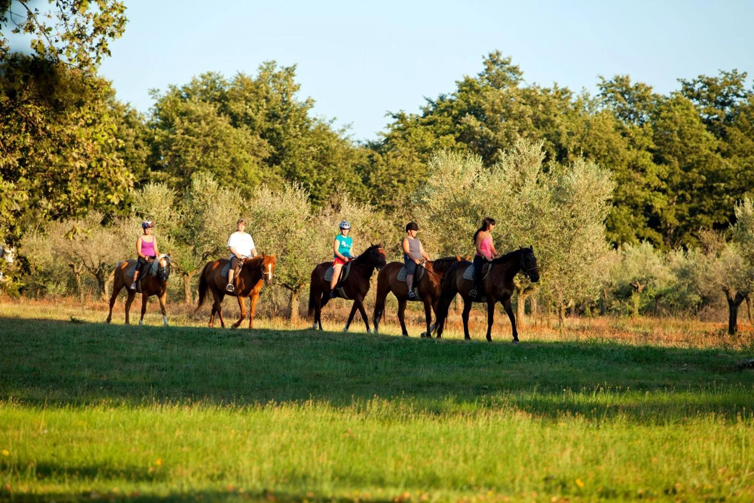 Horse-riding in Hotel Istra Plava Laguna
