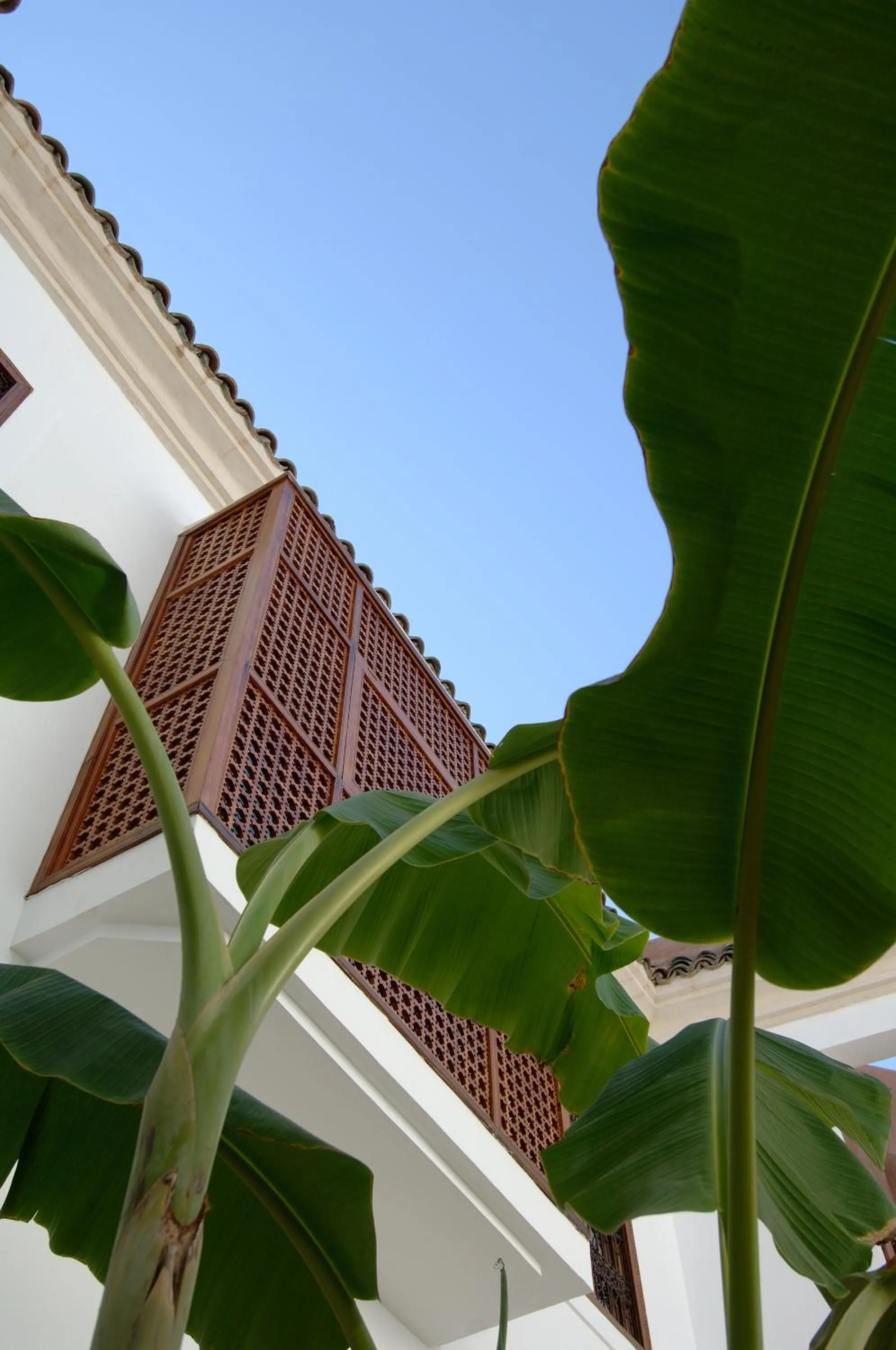 Facade/entrance in Riad UP