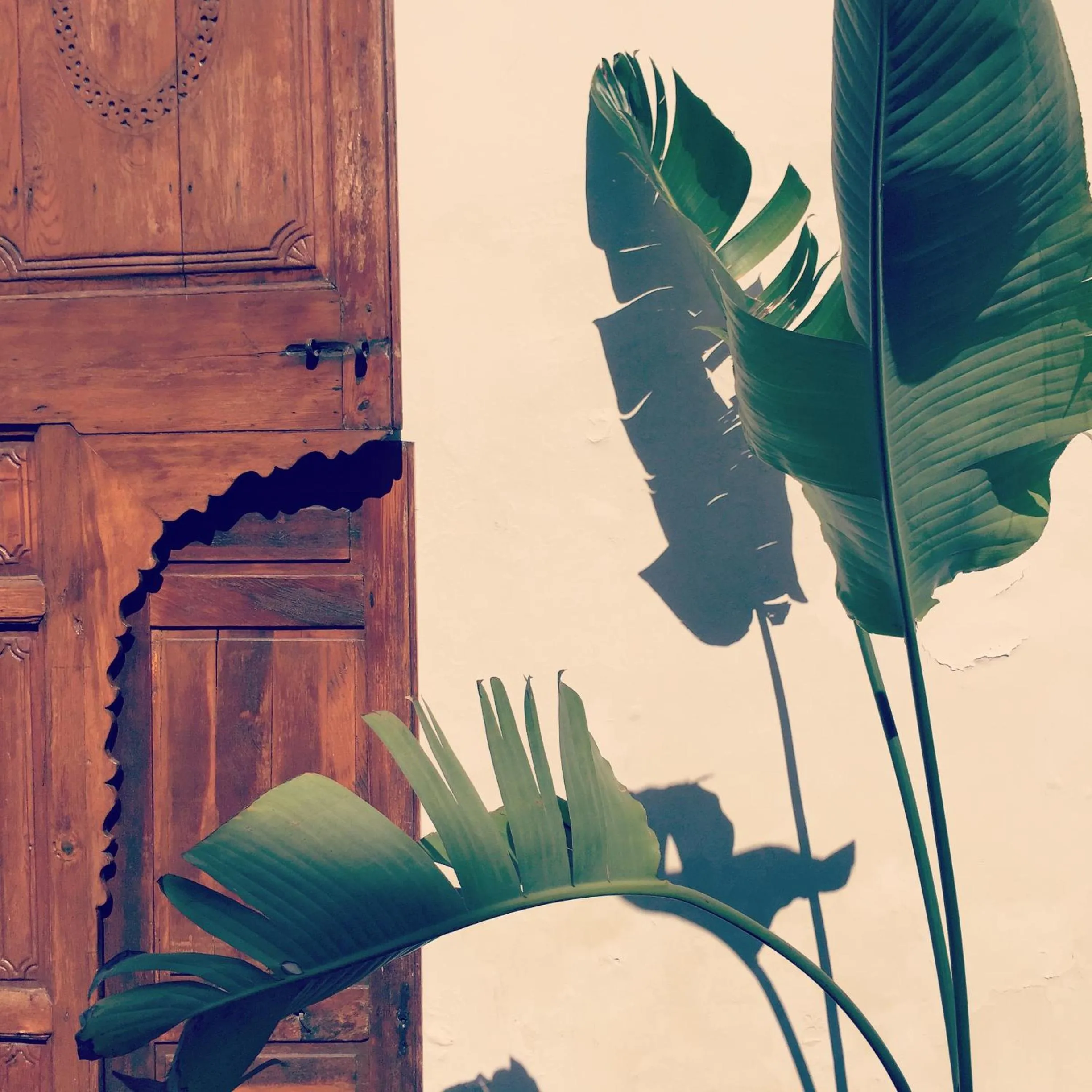 Balcony/Terrace in Riad UP