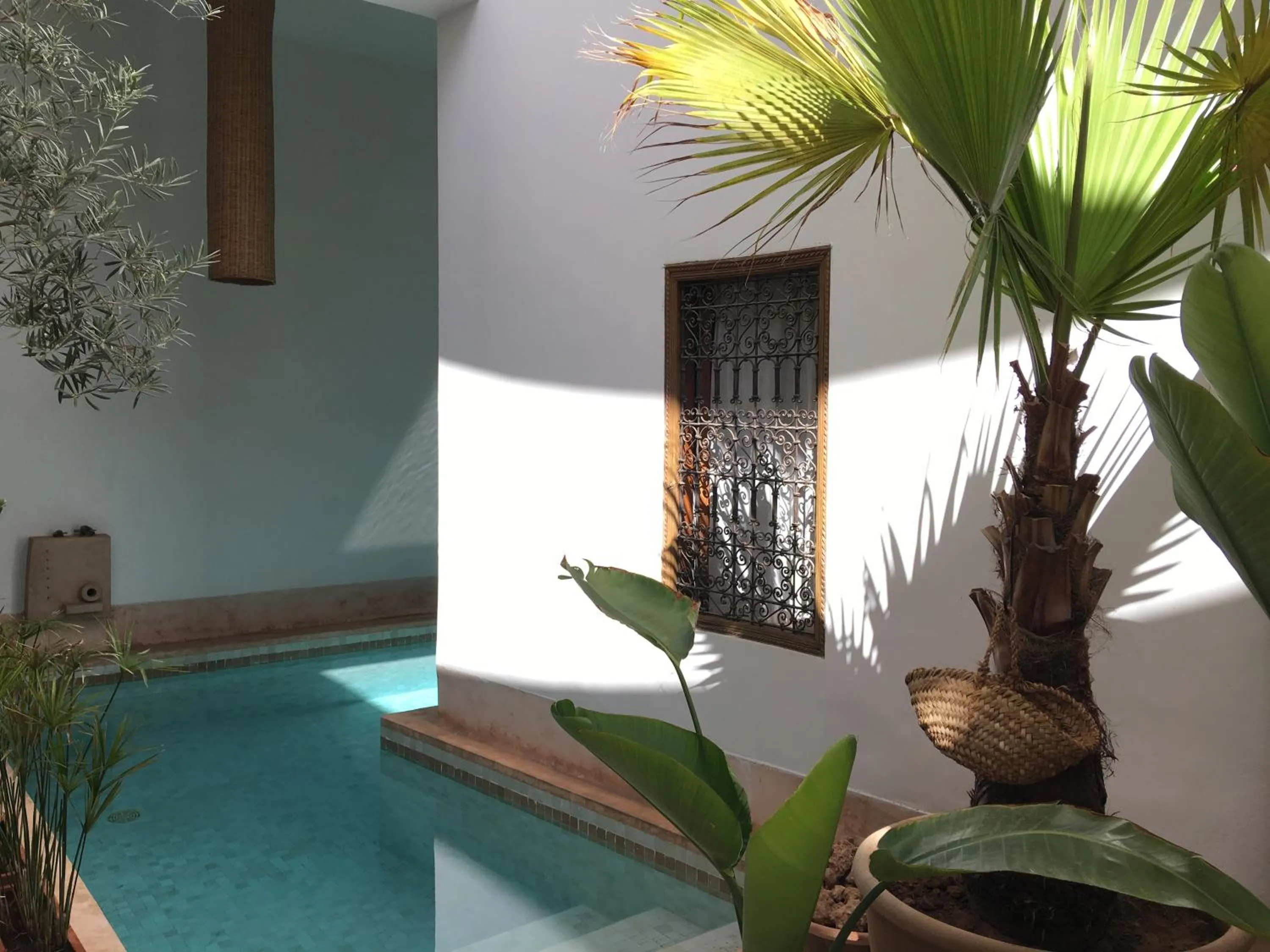 Swimming pool in Riad UP