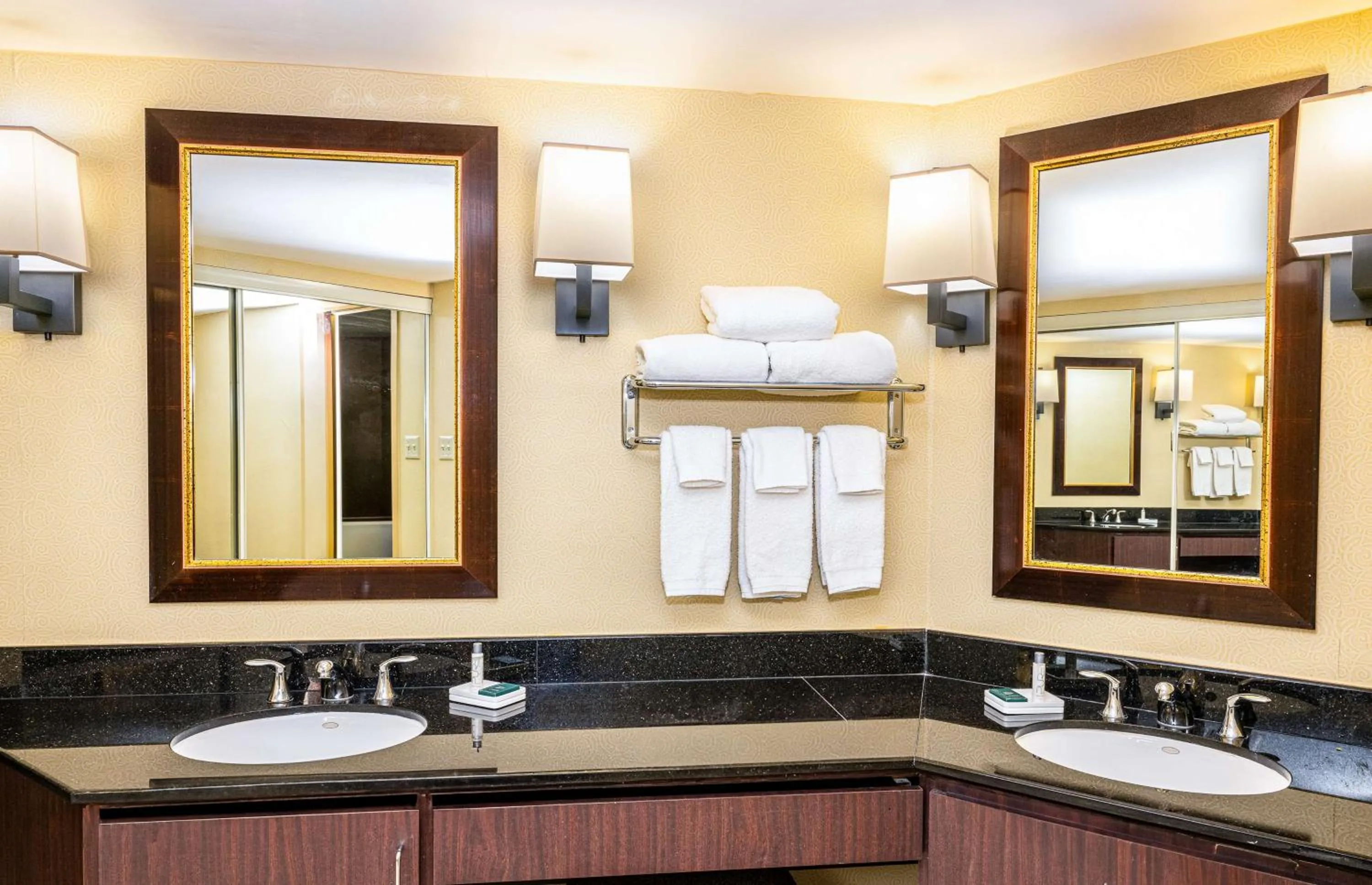 Bathroom in Hilton Richardson Dallas, TX